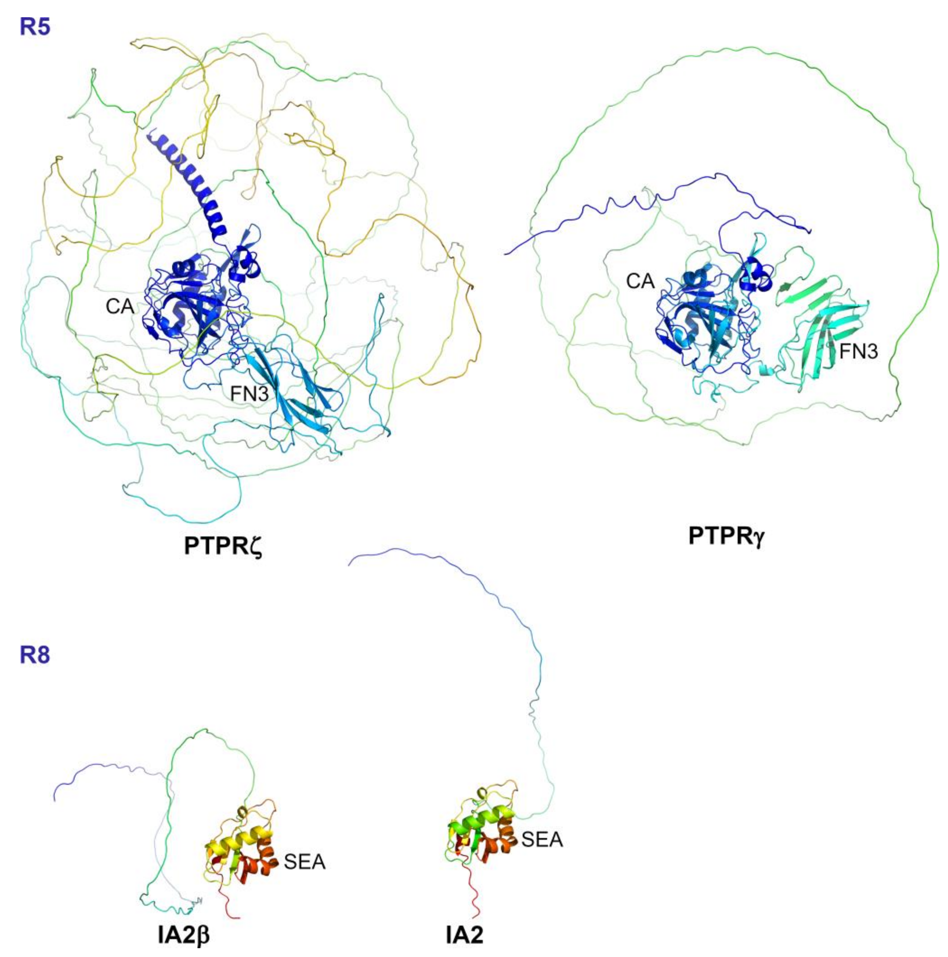 Ijms 25 00820 g006 Ijms 25 00820 g006