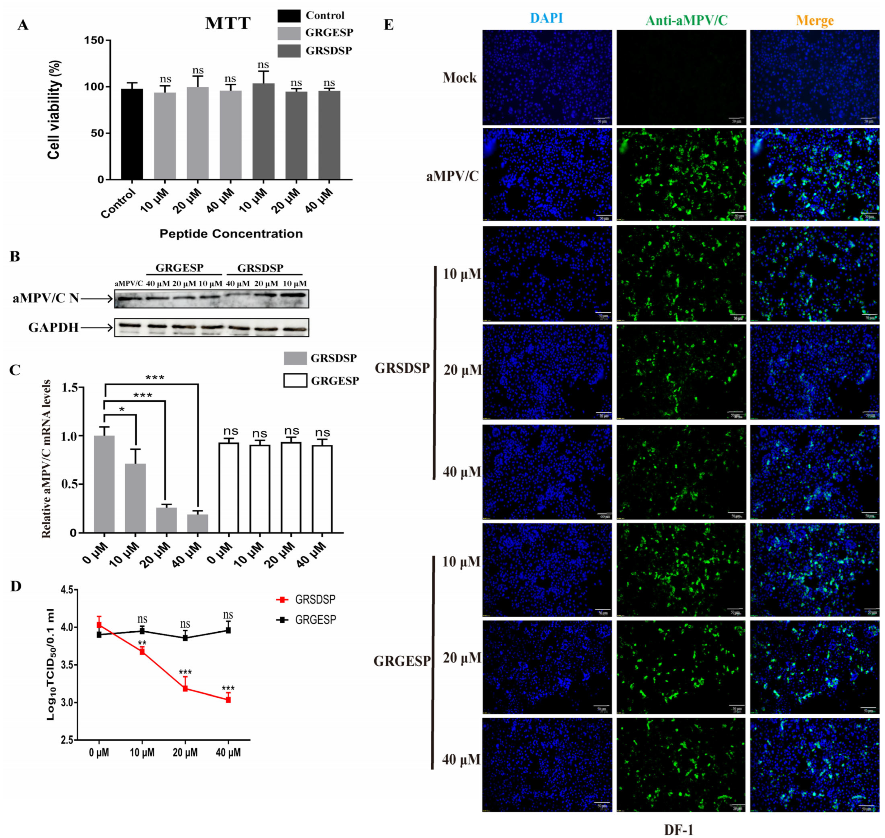 Ijms 25 00829 g003 Ijms 25 00829 g003