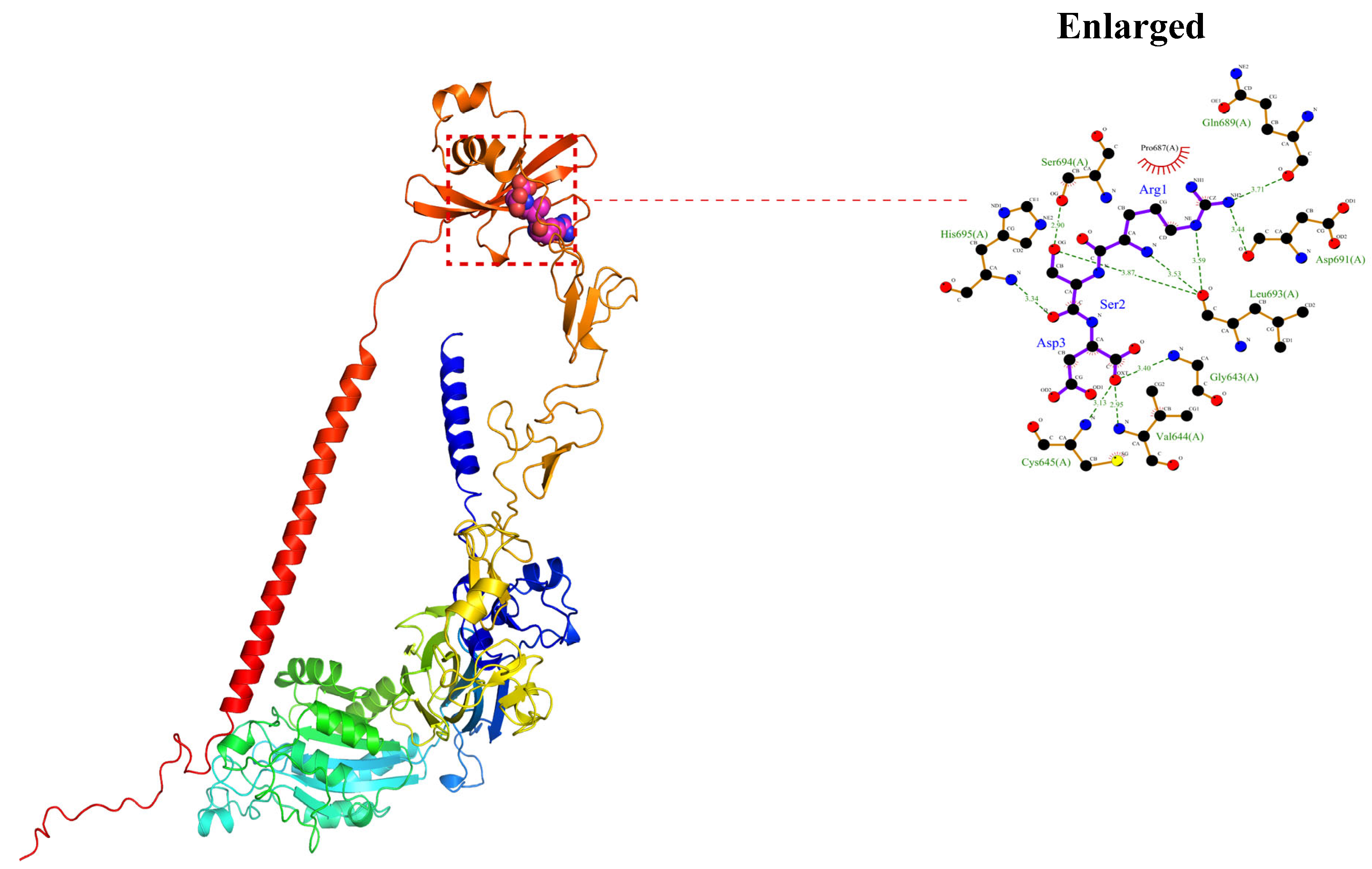 Ijms 25 00829 g004 Ijms 25 00829 g004