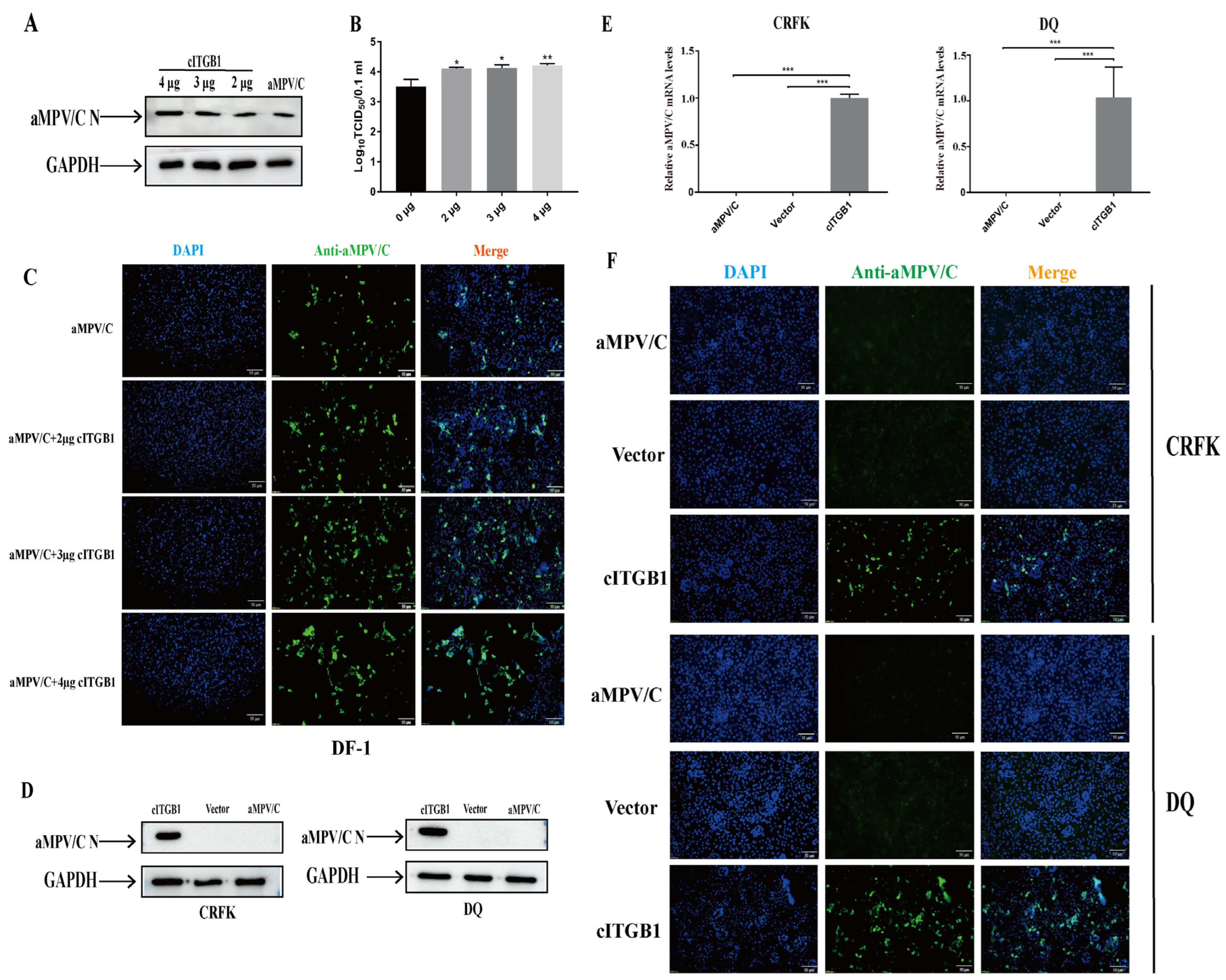 Ijms 25 00829 g005 Ijms 25 00829 g005