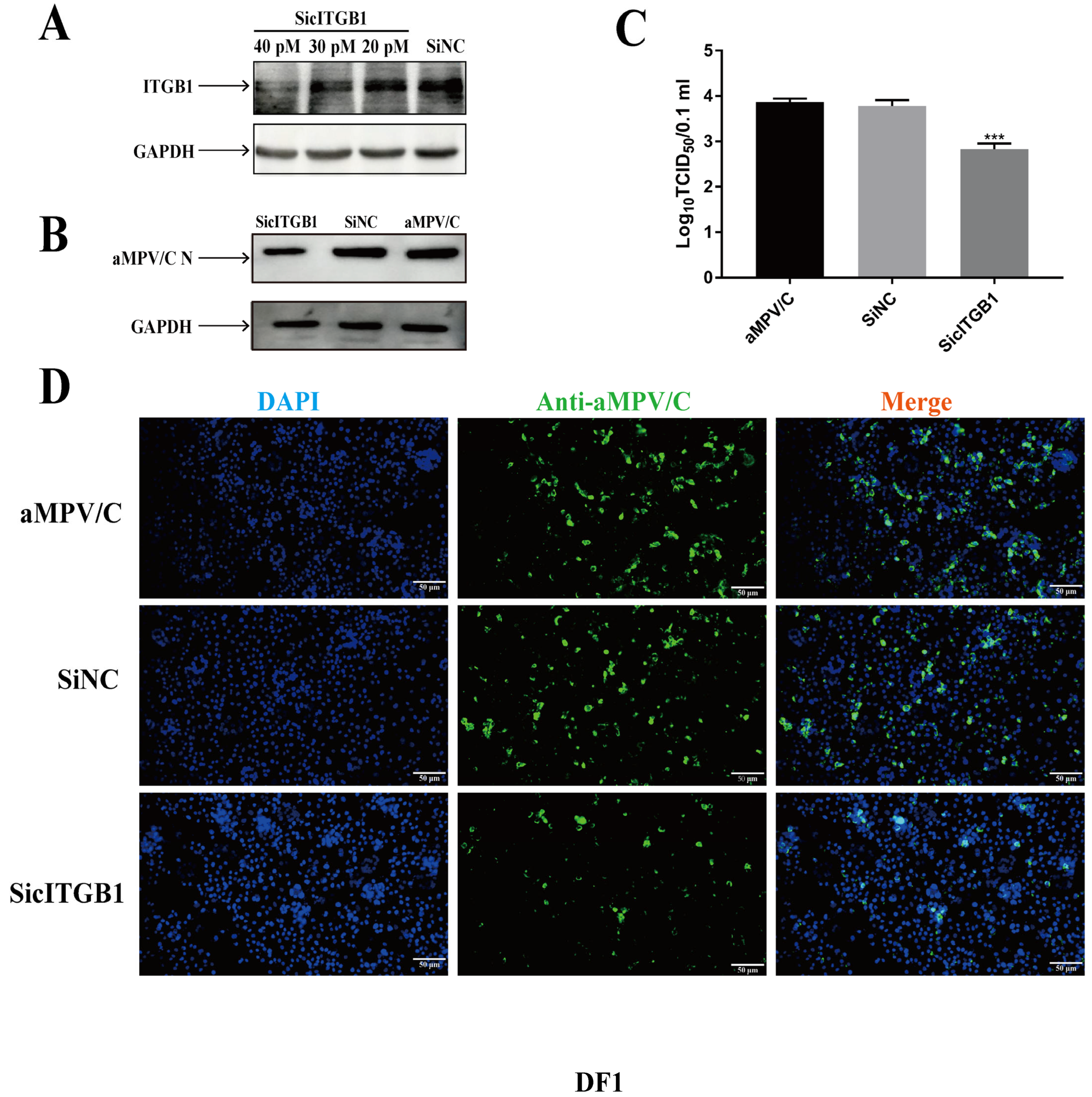 Ijms 25 00829 g006 Ijms 25 00829 g006