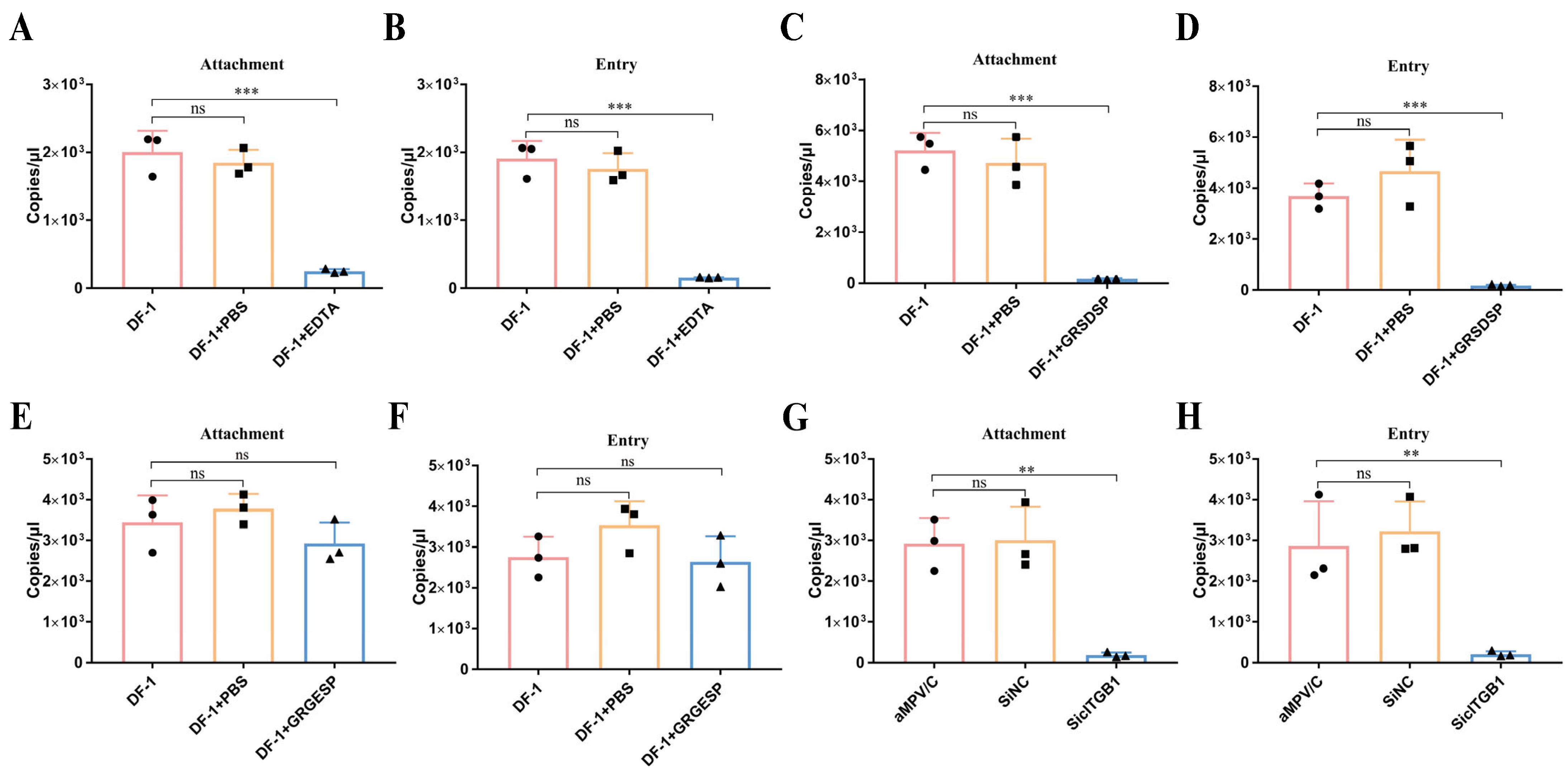 Ijms 25 00829 g007 Ijms 25 00829 g007