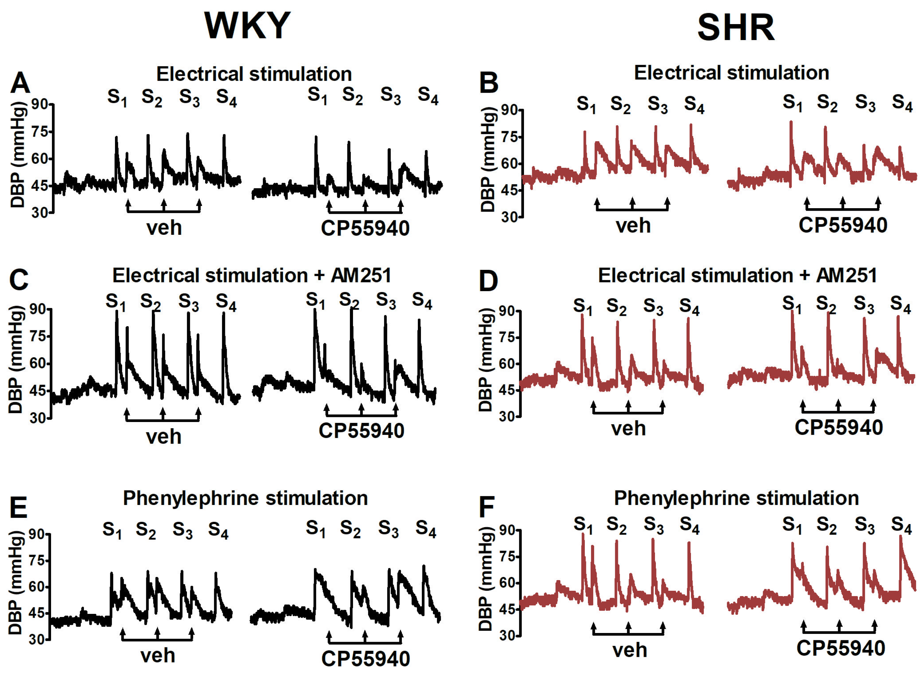Ijms 25 00858 g001 Ijms 25 00858 g001