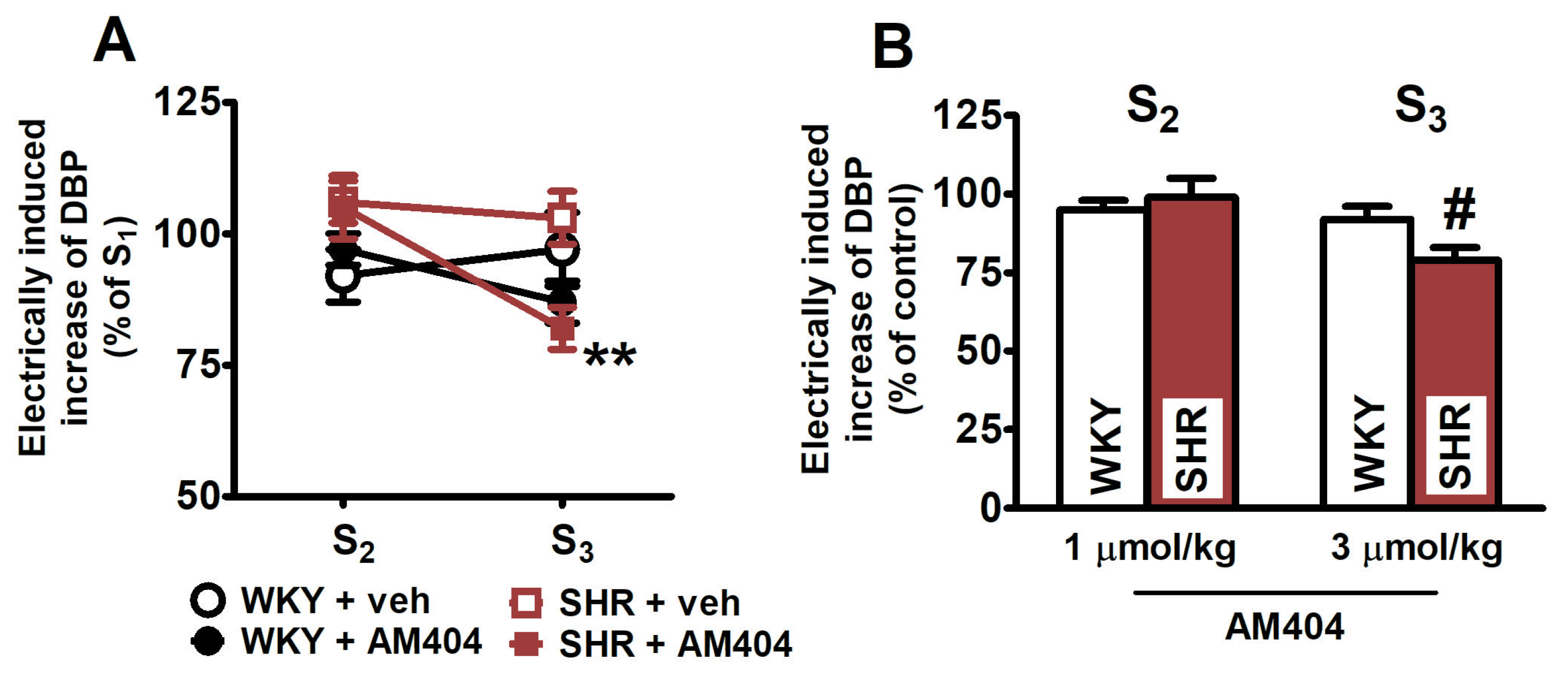 Ijms 25 00858 g005 Ijms 25 00858 g005