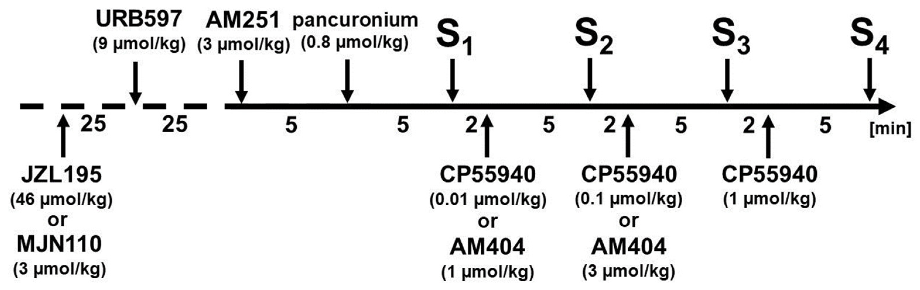 Ijms 25 00858 g006 Ijms 25 00858 g006