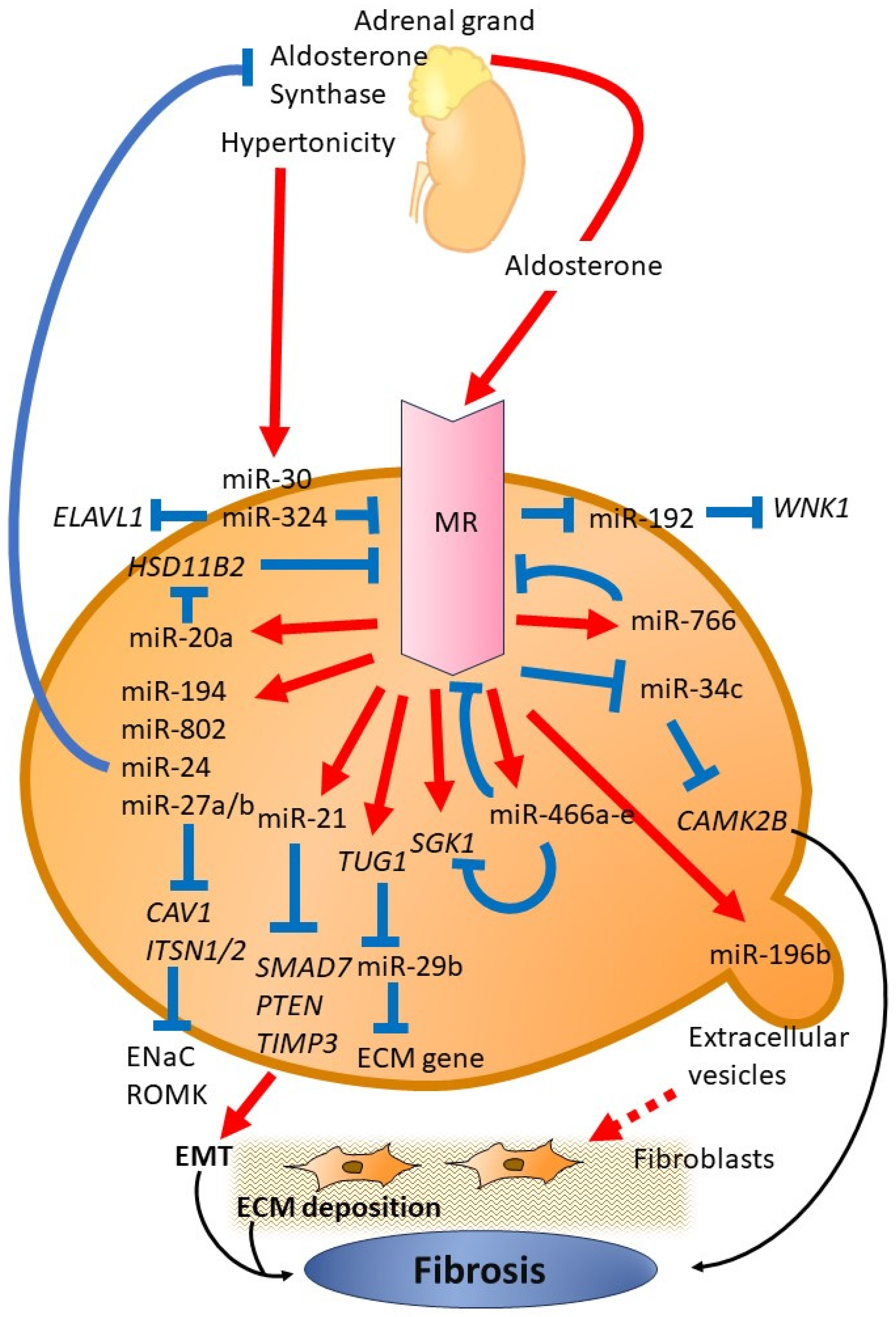 Ijms 25 00869 g001 Ijms 25 00869 g001