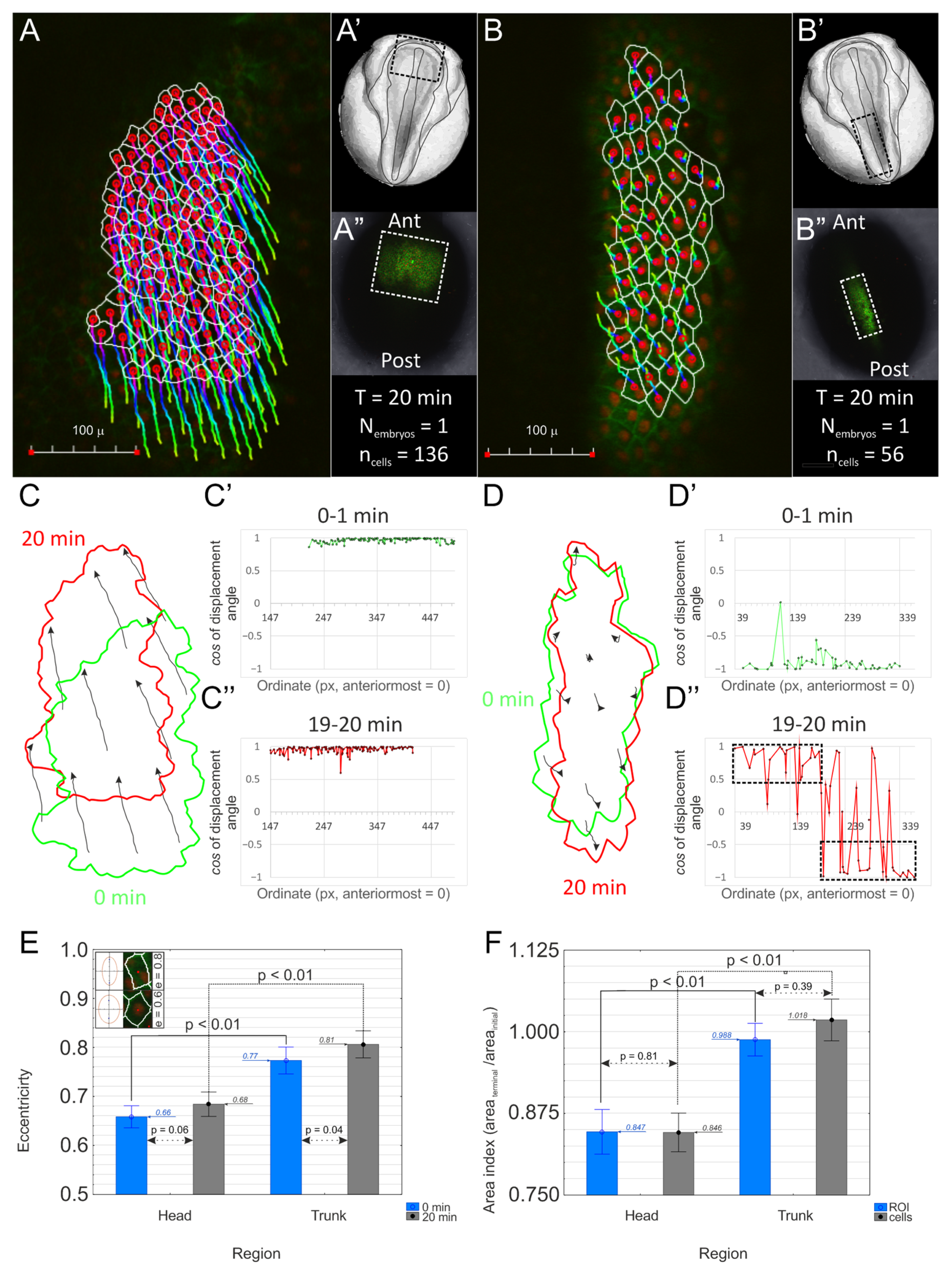 Ijms 25 00870 g002 Ijms 25 00870 g002