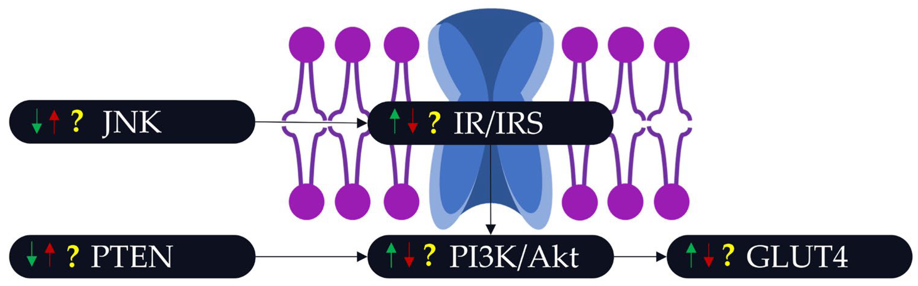 Ijms 25 00883 g001 Ijms 25 00883 g001