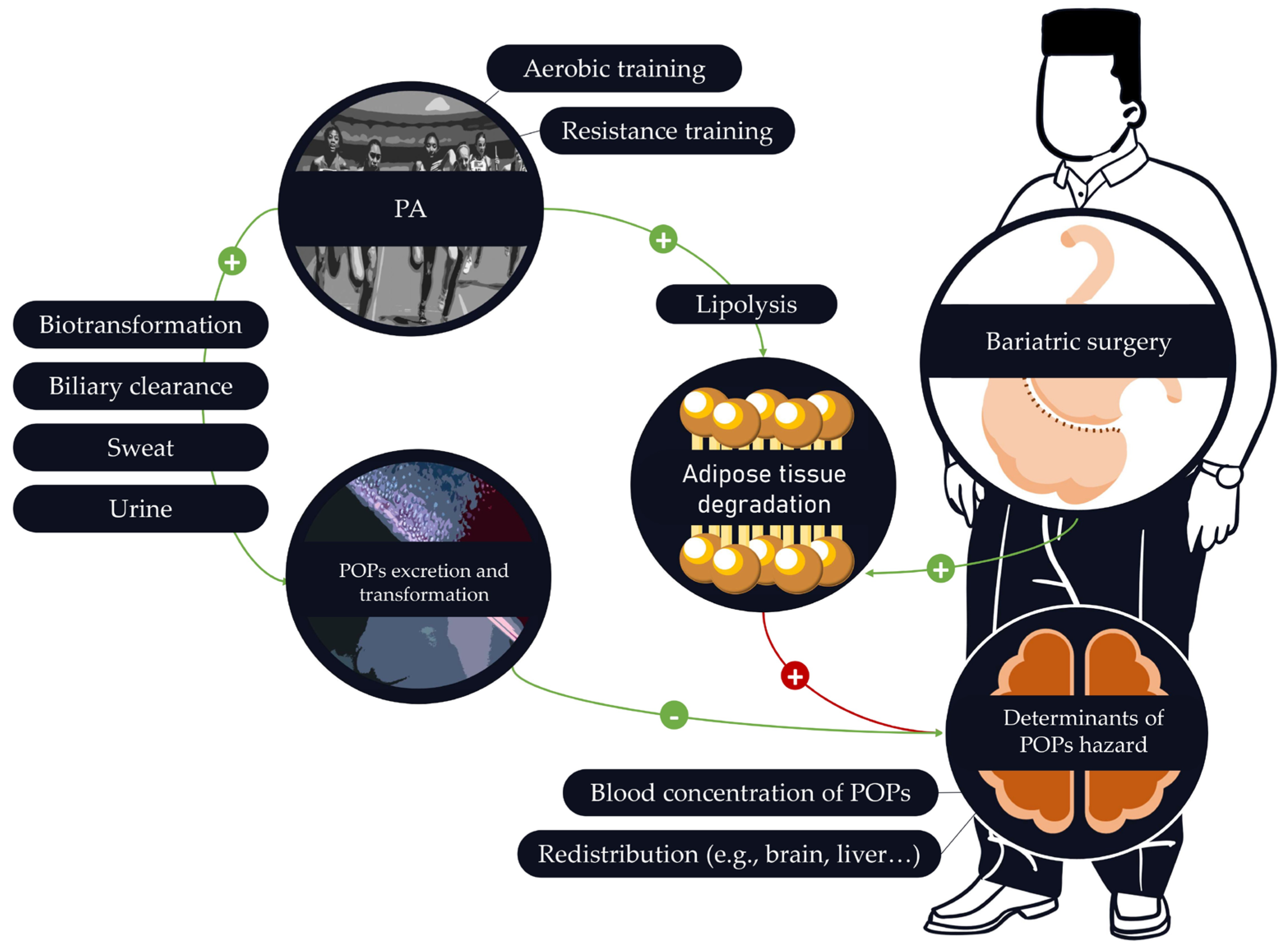 Ijms 25 00883 g004 Ijms 25 00883 g004