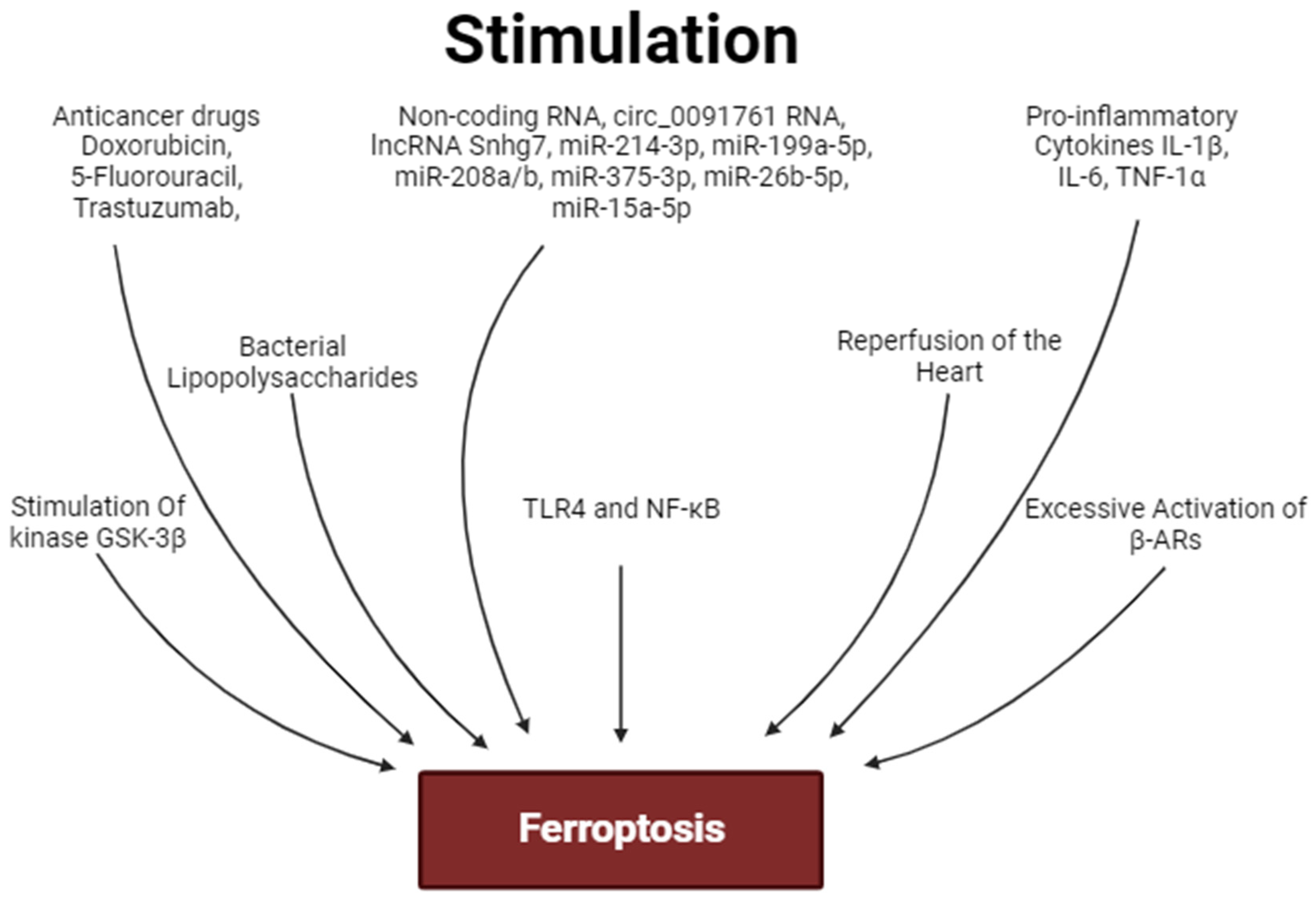 Ijms 25 00897 g004 Ijms 25 00897 g004