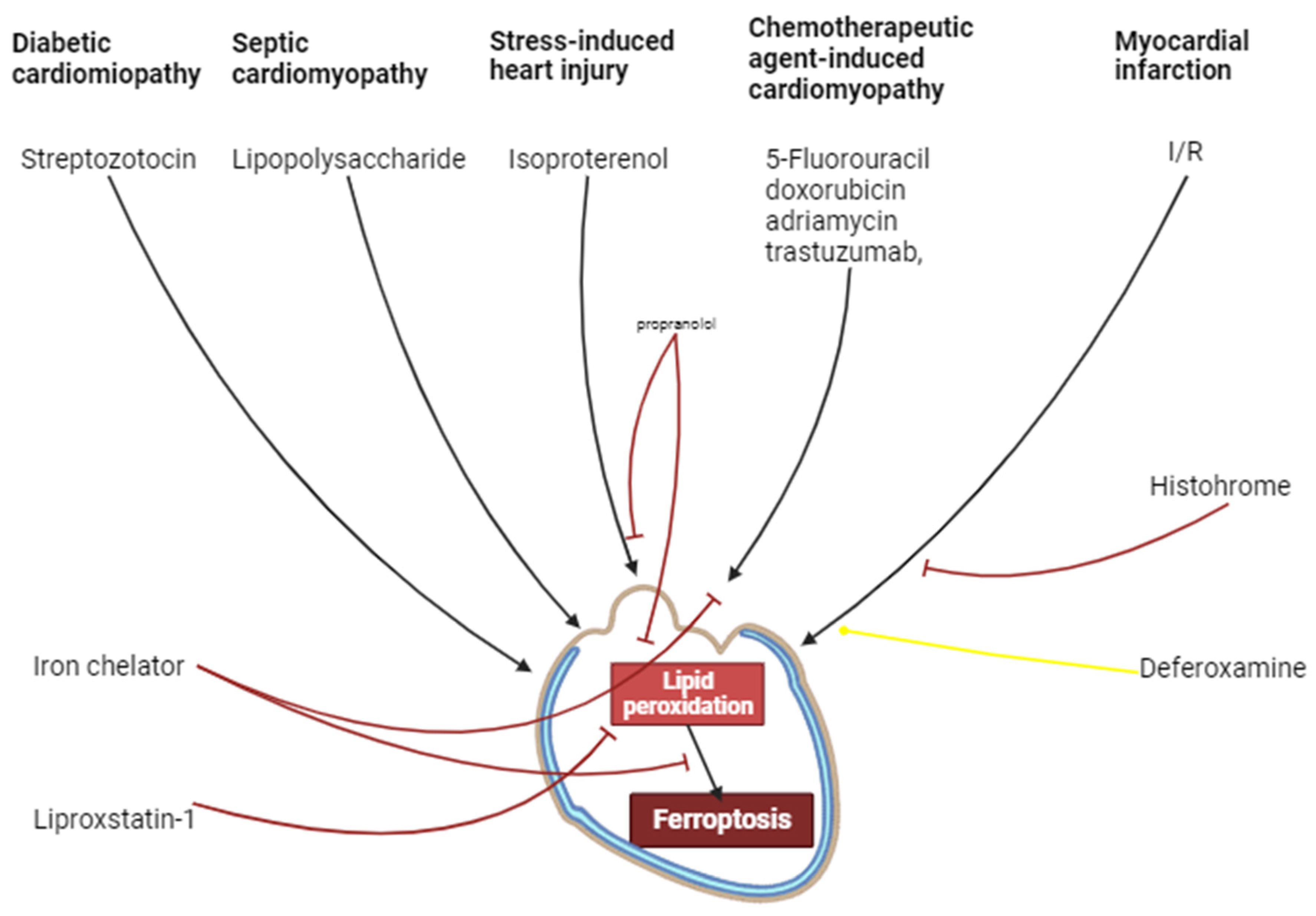 Ijms 25 00897 g005 Ijms 25 00897 g005