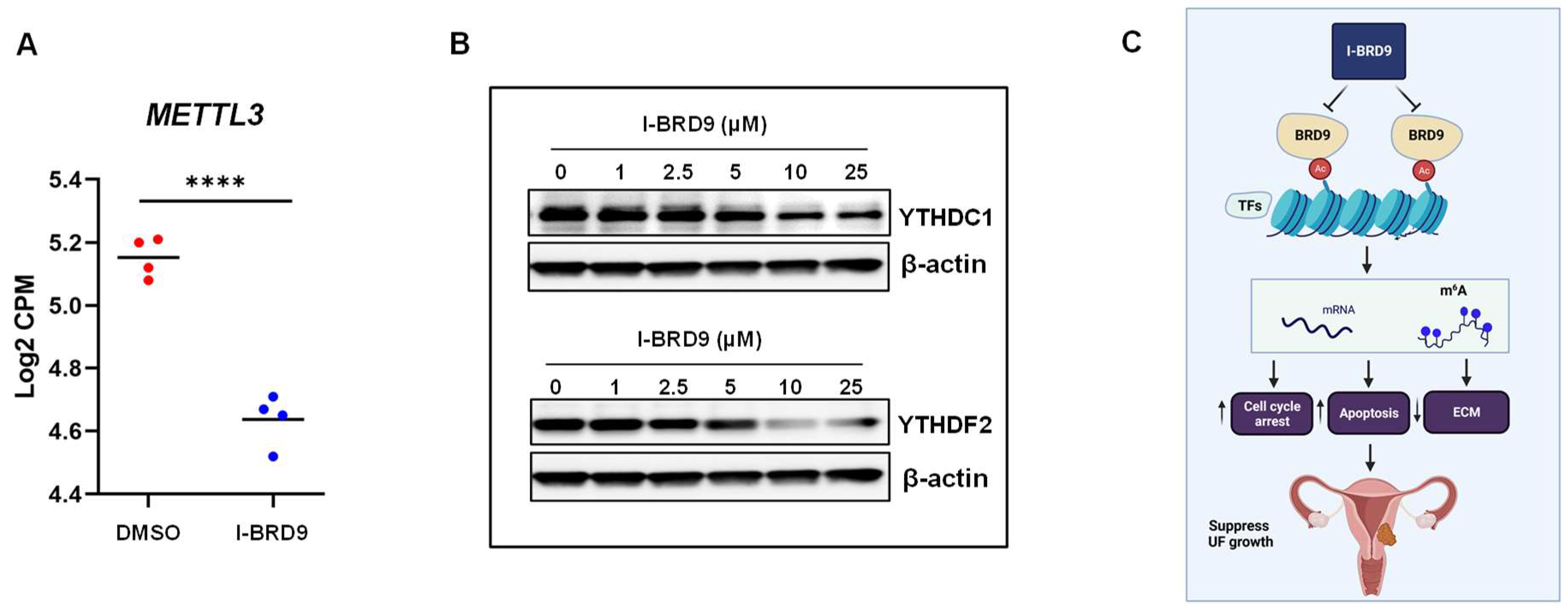 Ijms 25 00905 g008