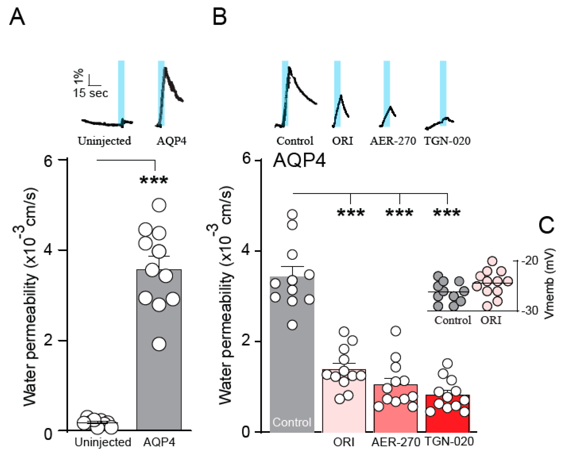 Ijms 25 00924 g003 Ijms 25 00924 g003