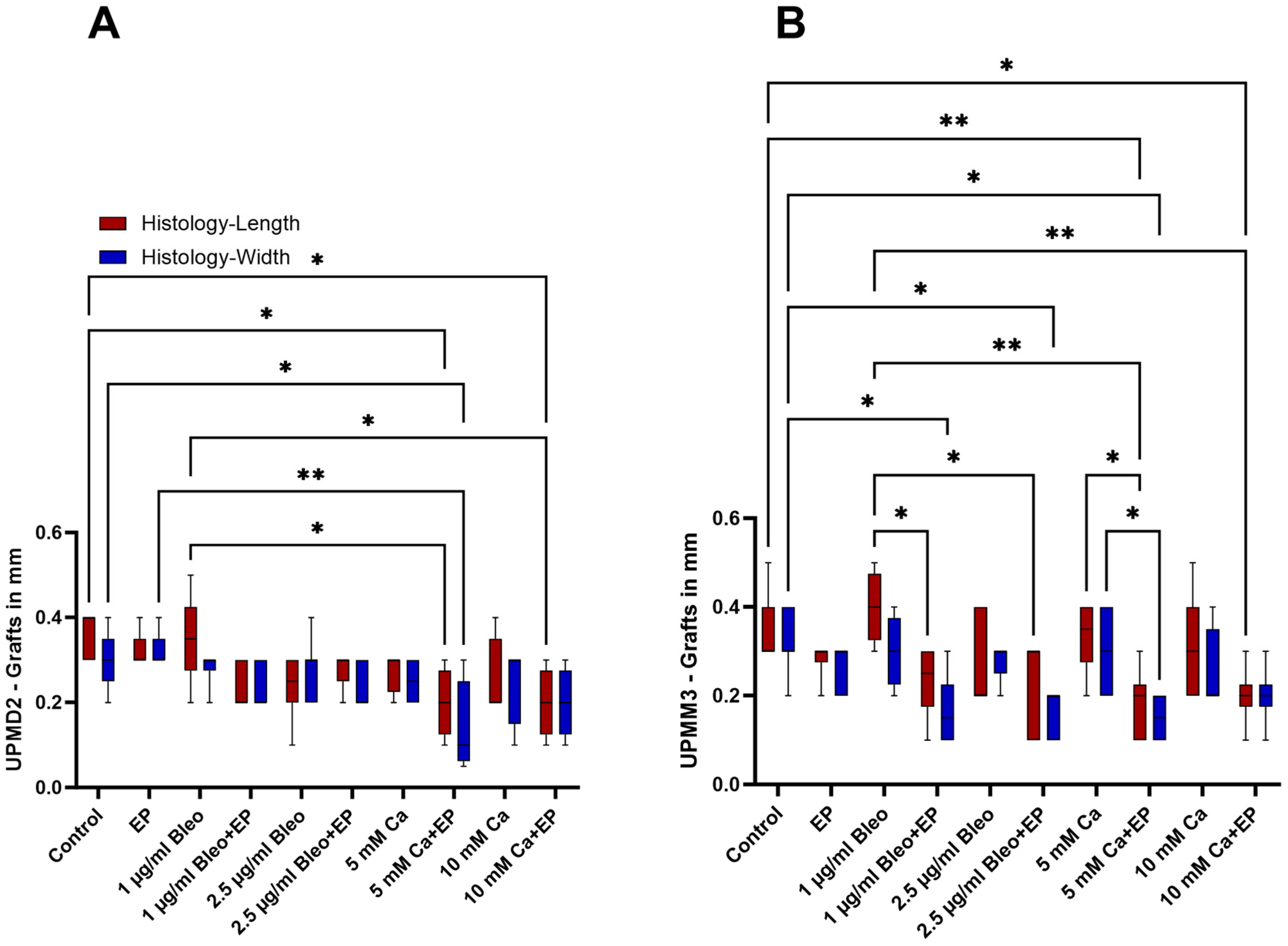 Ijms 25 00938 g002 Ijms 25 00938 g002