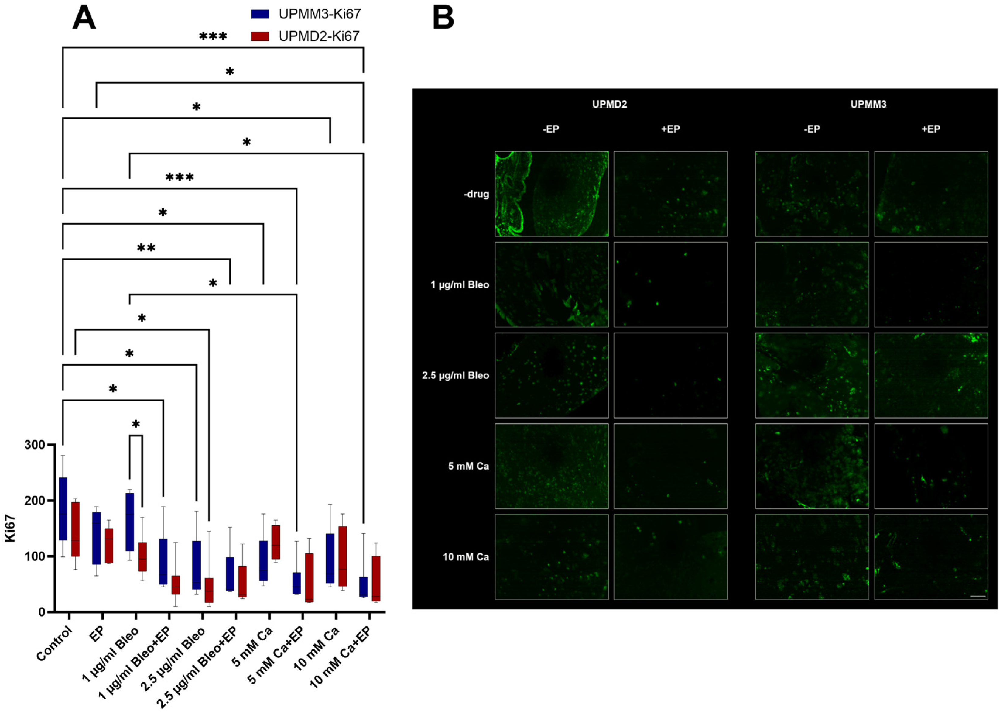 Ijms 25 00938 g005 Ijms 25 00938 g005