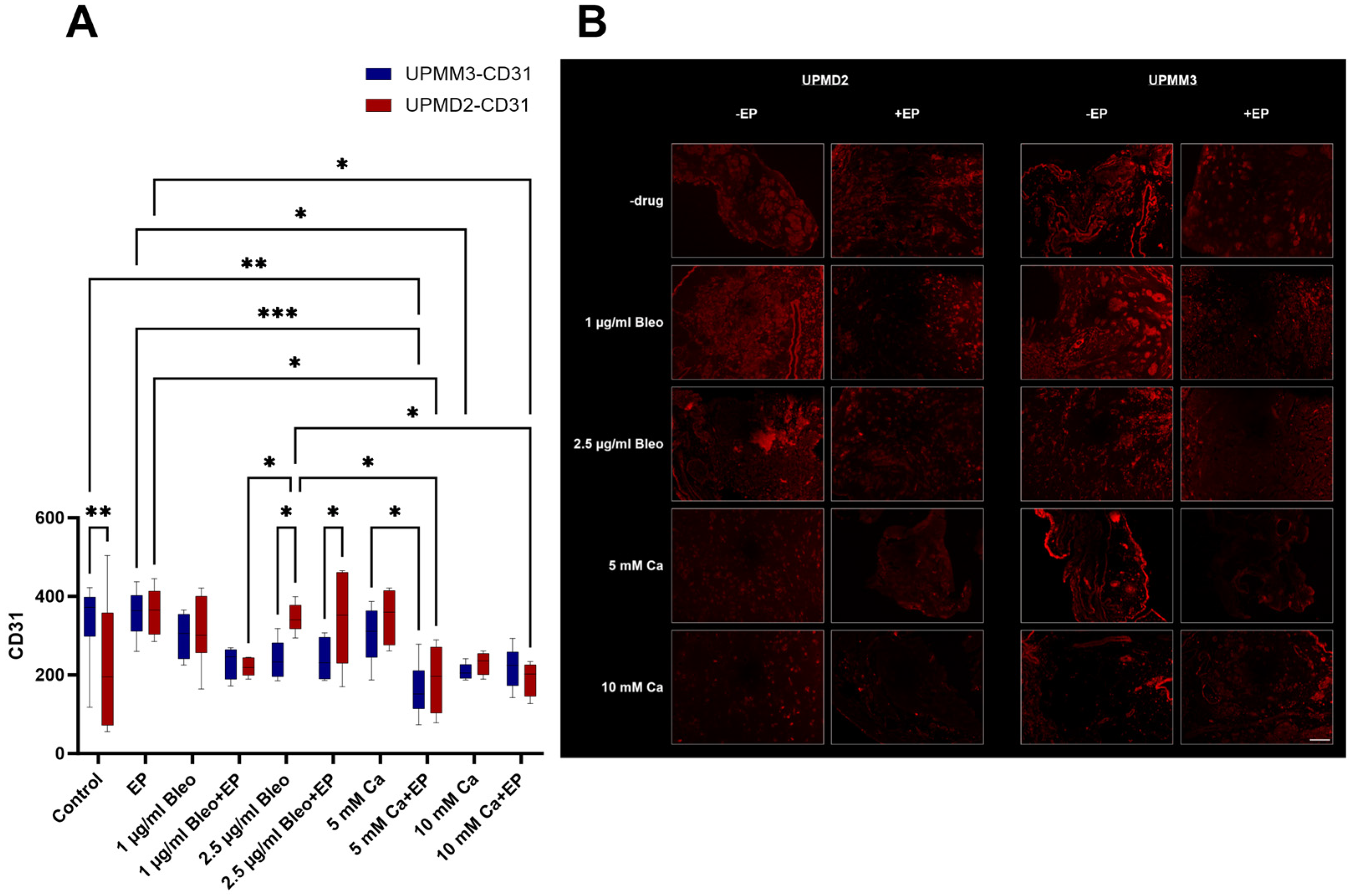 Ijms 25 00938 g006 Ijms 25 00938 g006