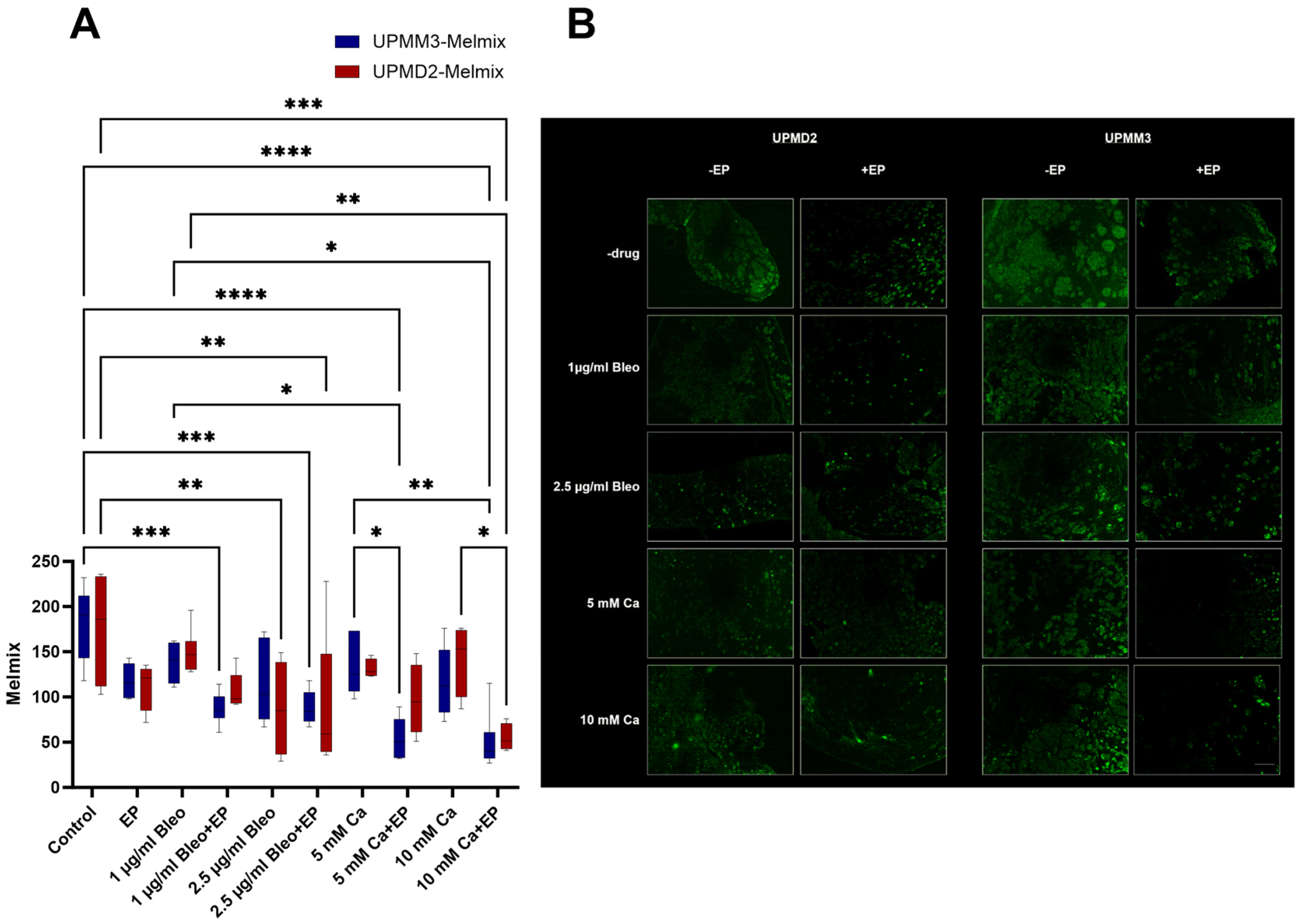 Ijms 25 00938 g008 Ijms 25 00938 g008