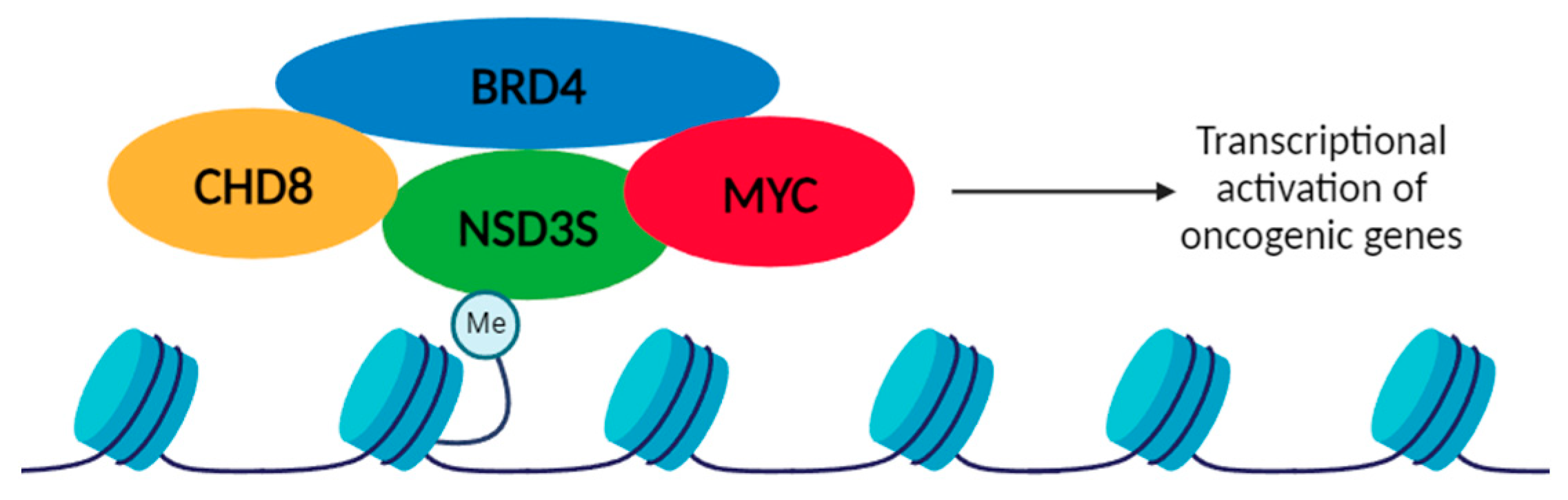 Ijms 25 00944 g005 Ijms 25 00944 g005