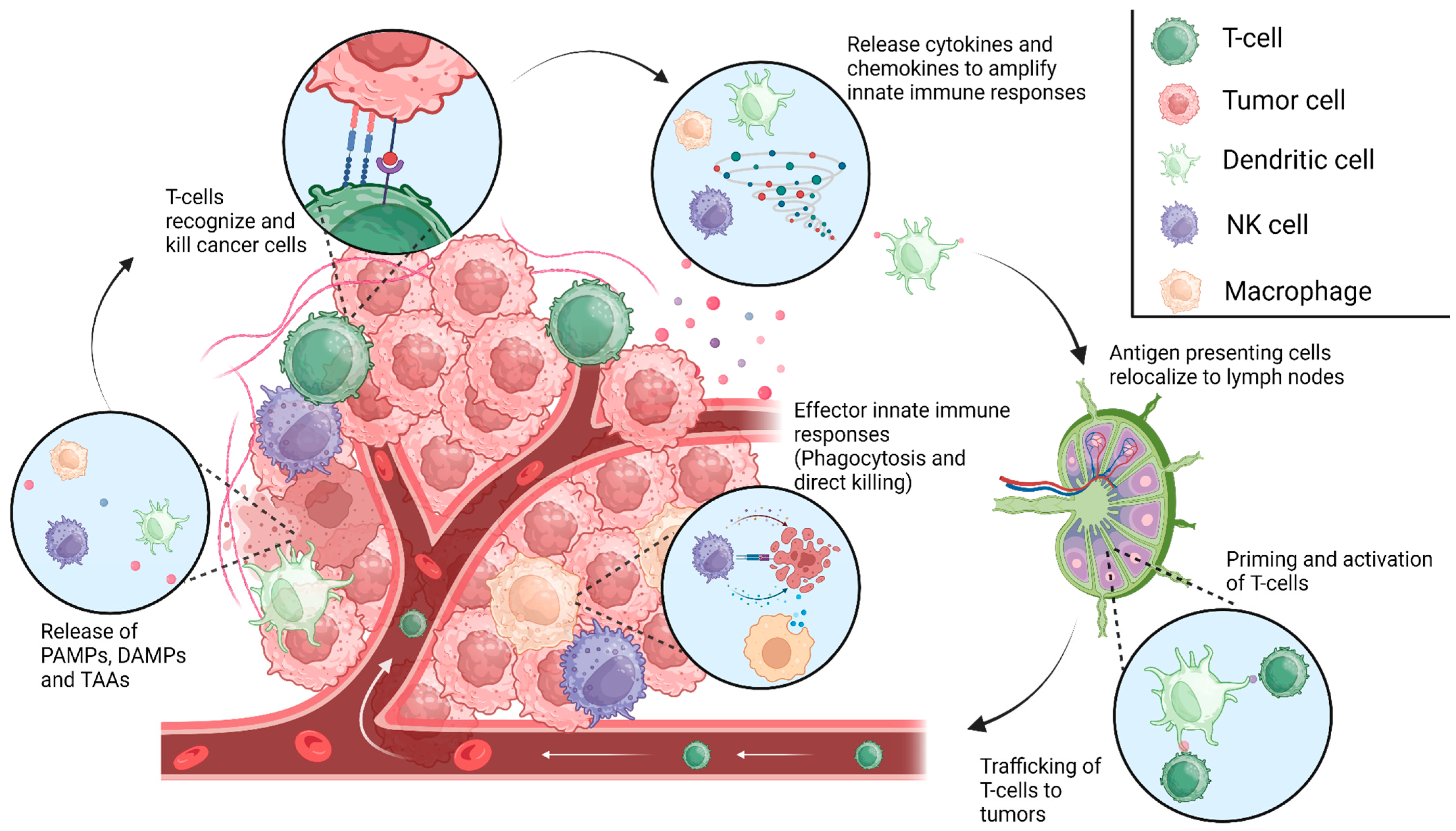 Ijms 25 00947 g001 Ijms 25 00947 g001