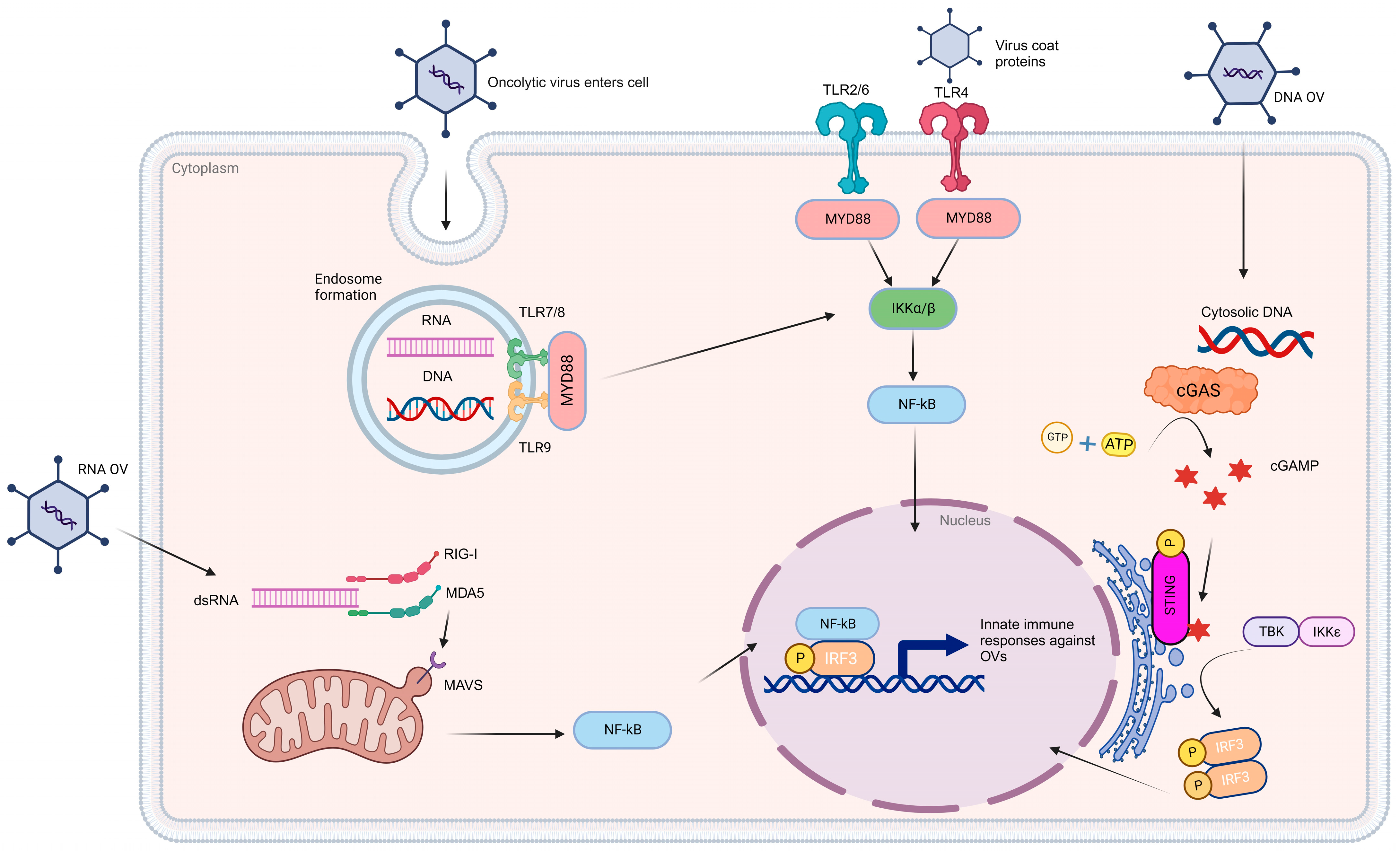 Ijms 25 00947 g002 Ijms 25 00947 g002