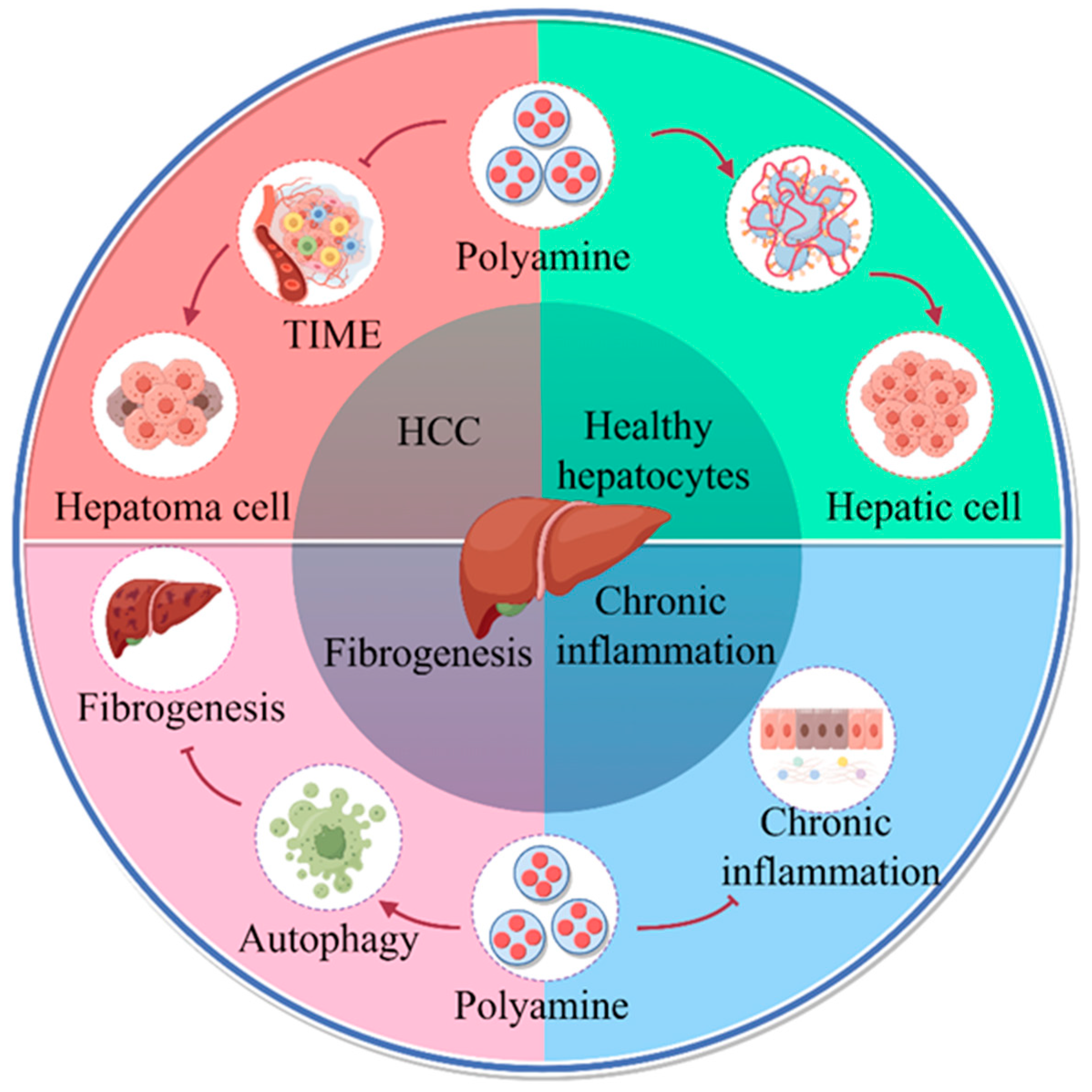 Ijms 25 00996 g001 Ijms 25 00996 g001