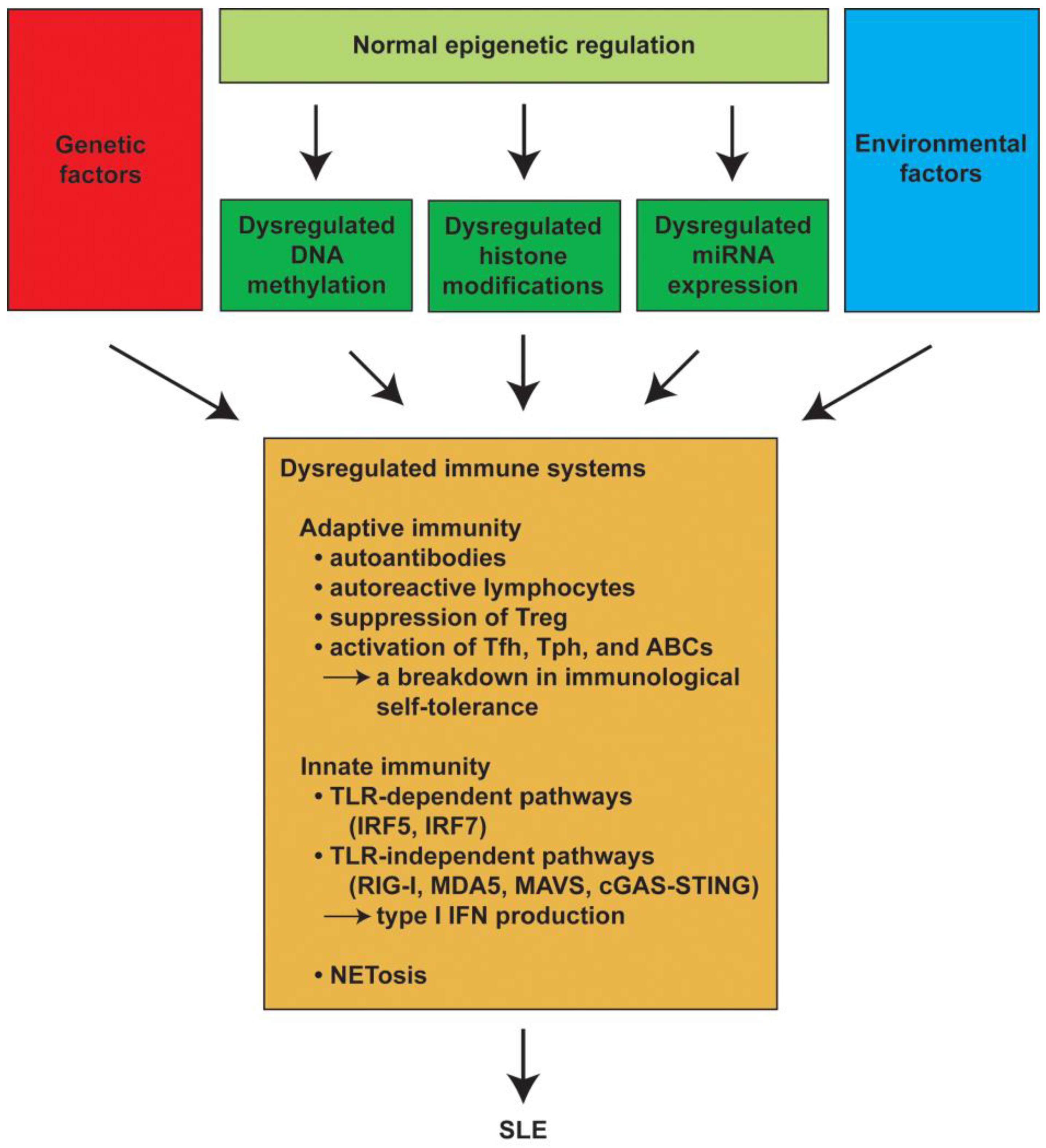 Ijms 25 01019 g001 Ijms 25 01019 g001