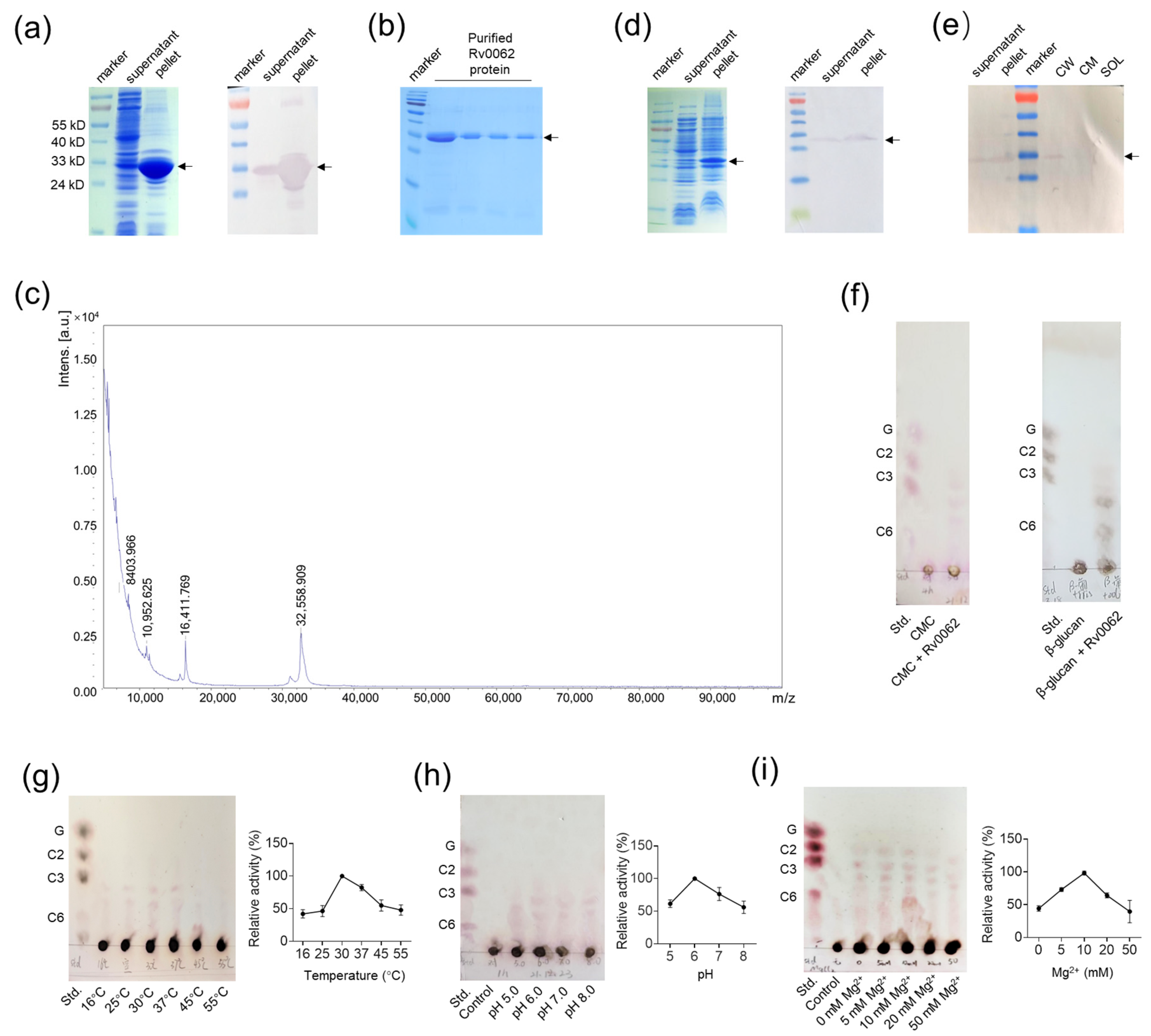 Ijms 25 01051 g001 Ijms 25 01051 g001