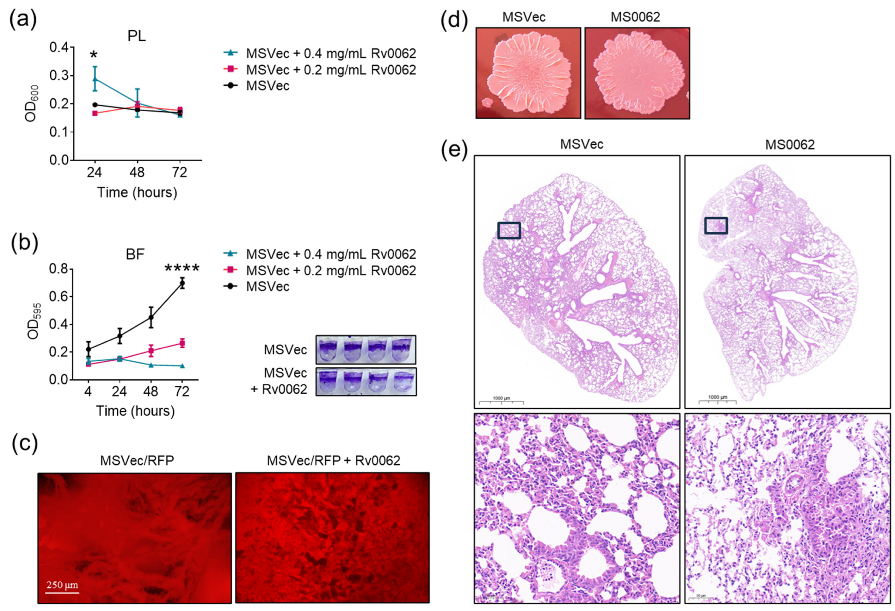 Ijms 25 01051 g003 Ijms 25 01051 g003
