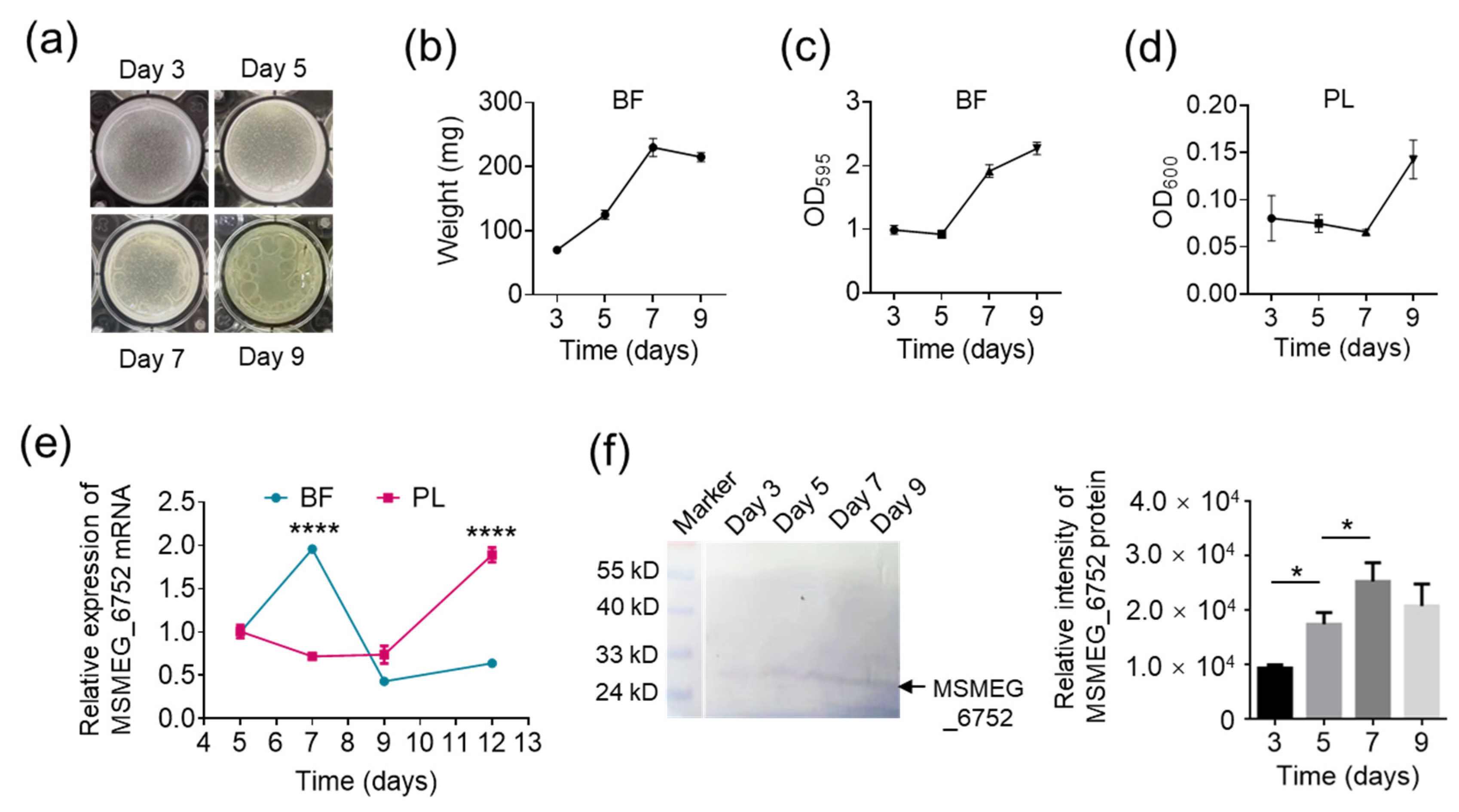 Ijms 25 01051 g004 Ijms 25 01051 g004