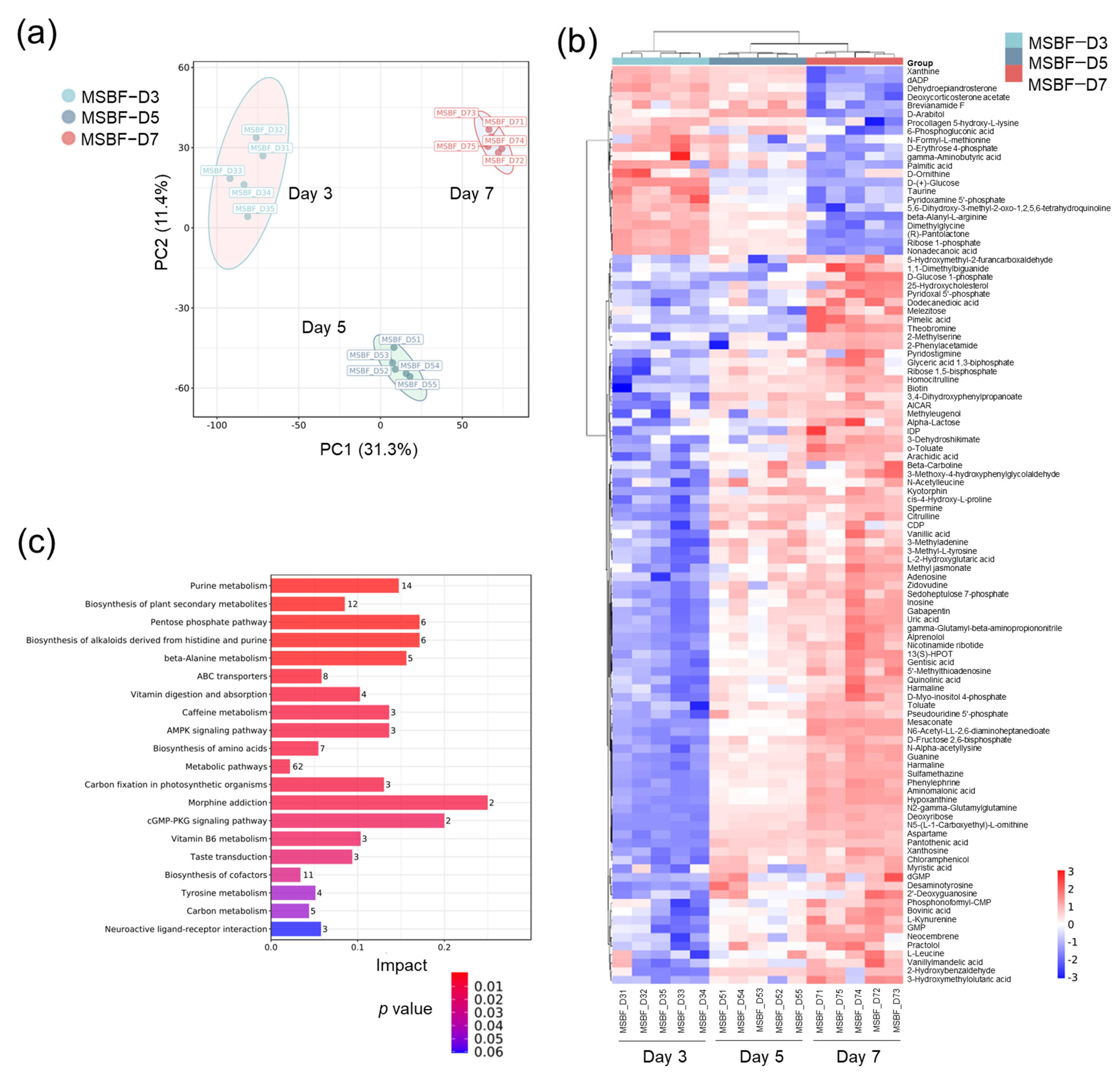Ijms 25 01051 g005 Ijms 25 01051 g005