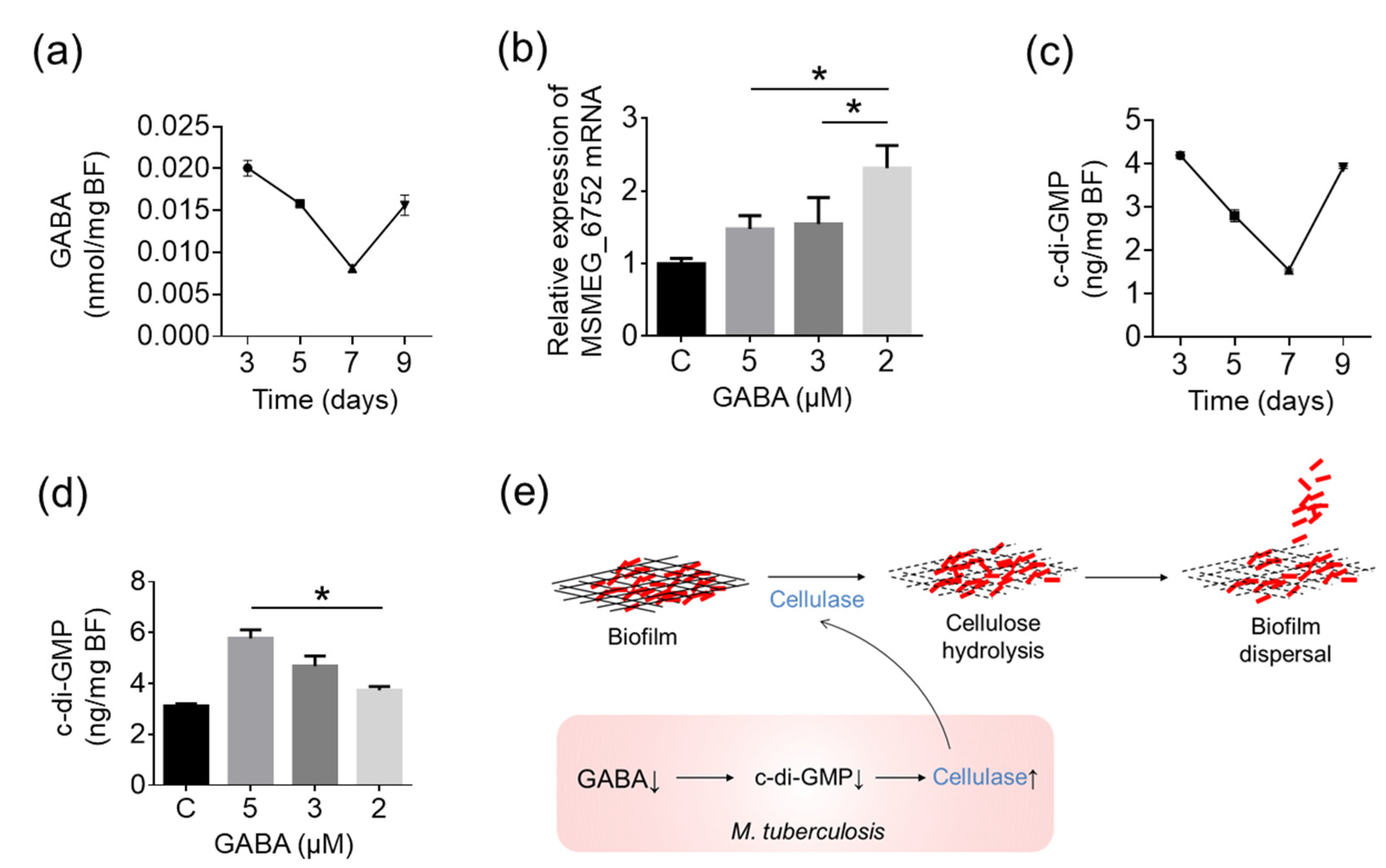 Ijms 25 01051 g006 Ijms 25 01051 g006