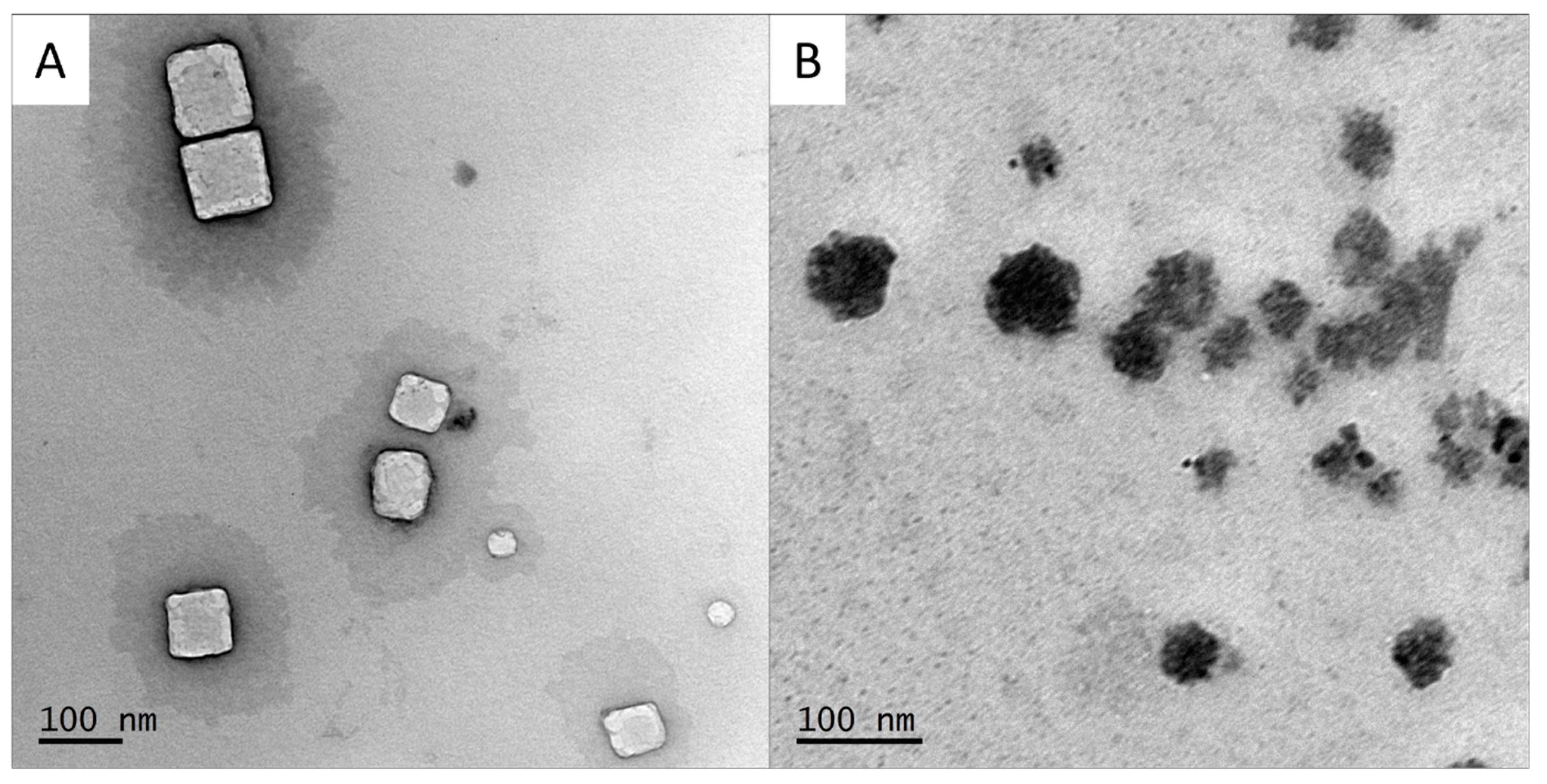 Ijms 25 01076 g002