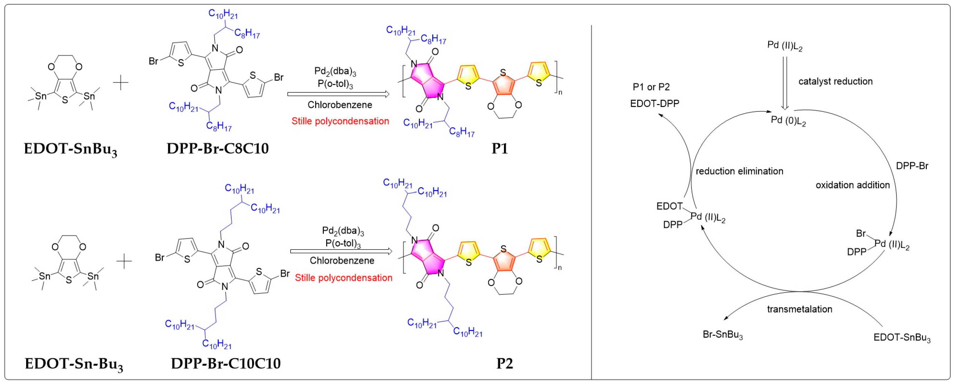 Ijms 25 01099 sch001