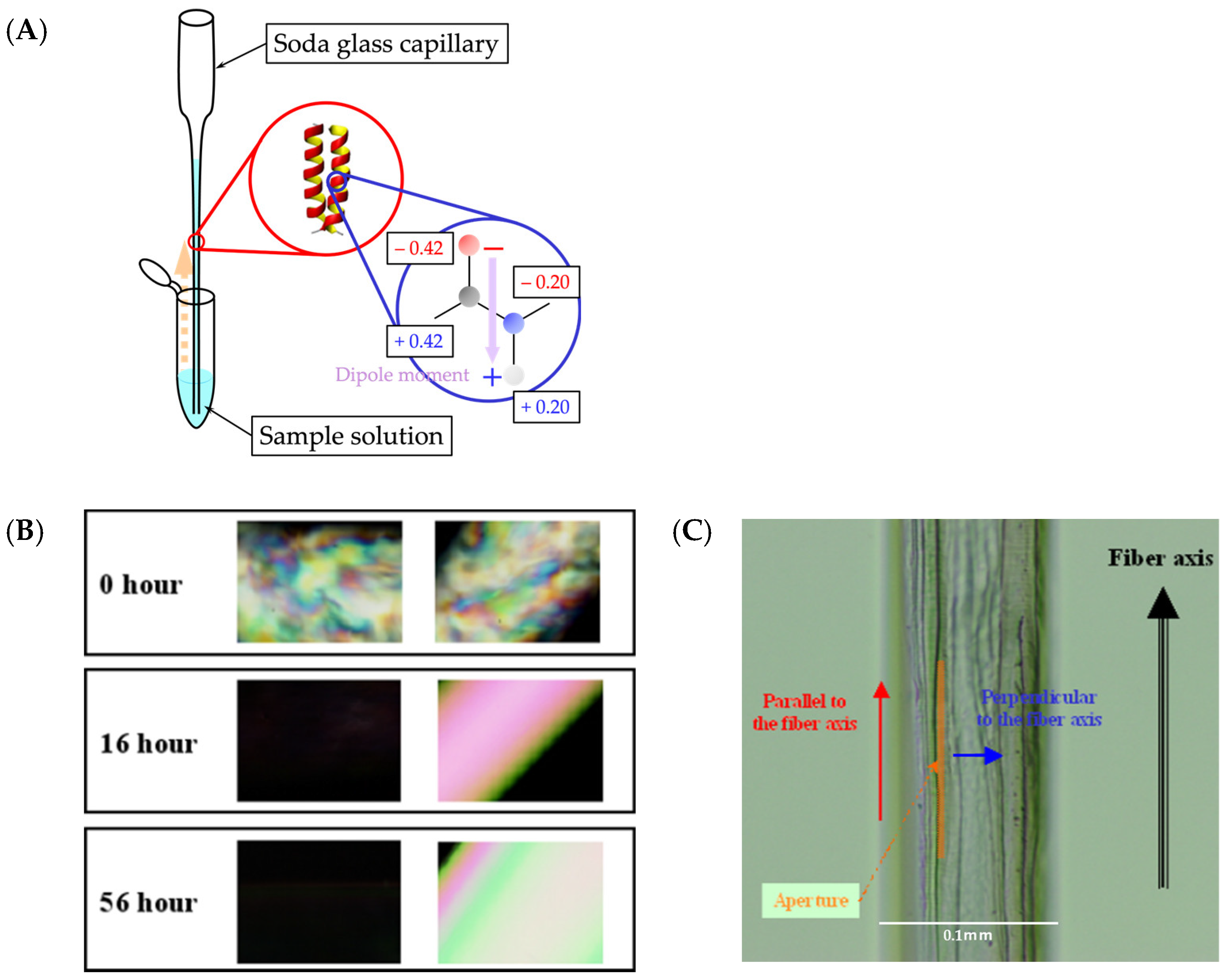 Ijms 25 01111 g002 Ijms 25 01111 g002