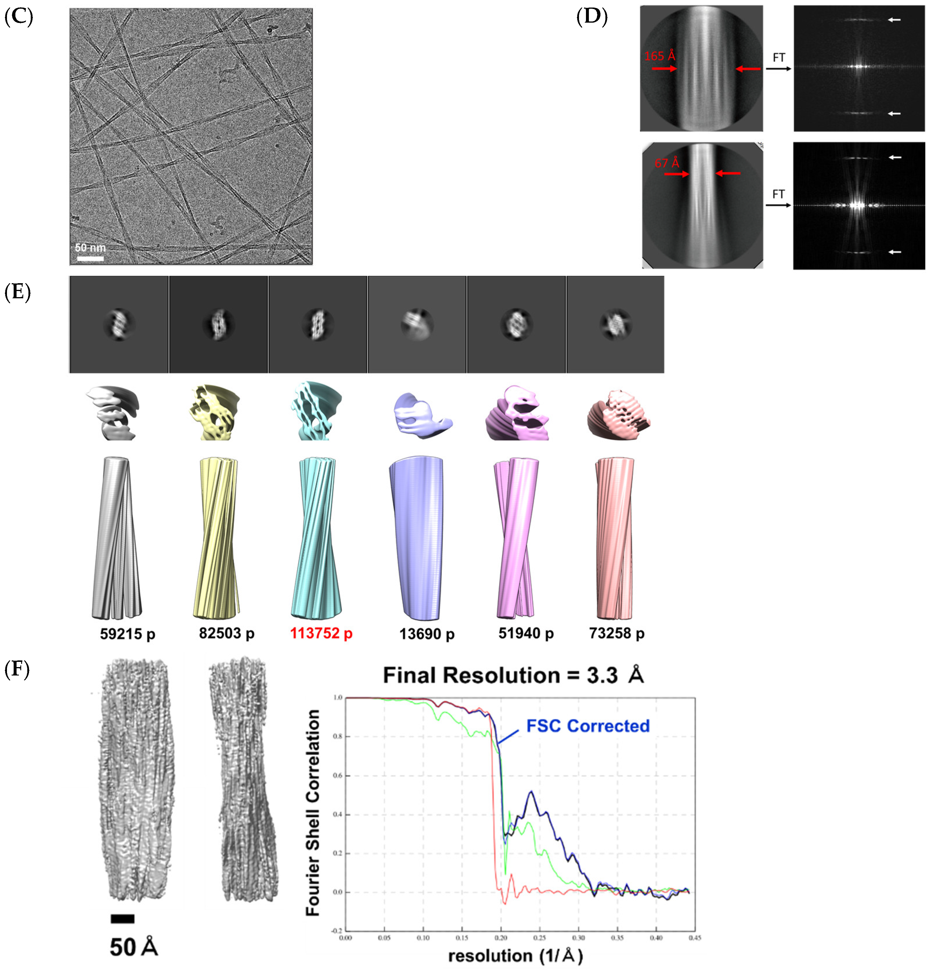 Ijms 25 01111 g006b Ijms 25 01111 g006b