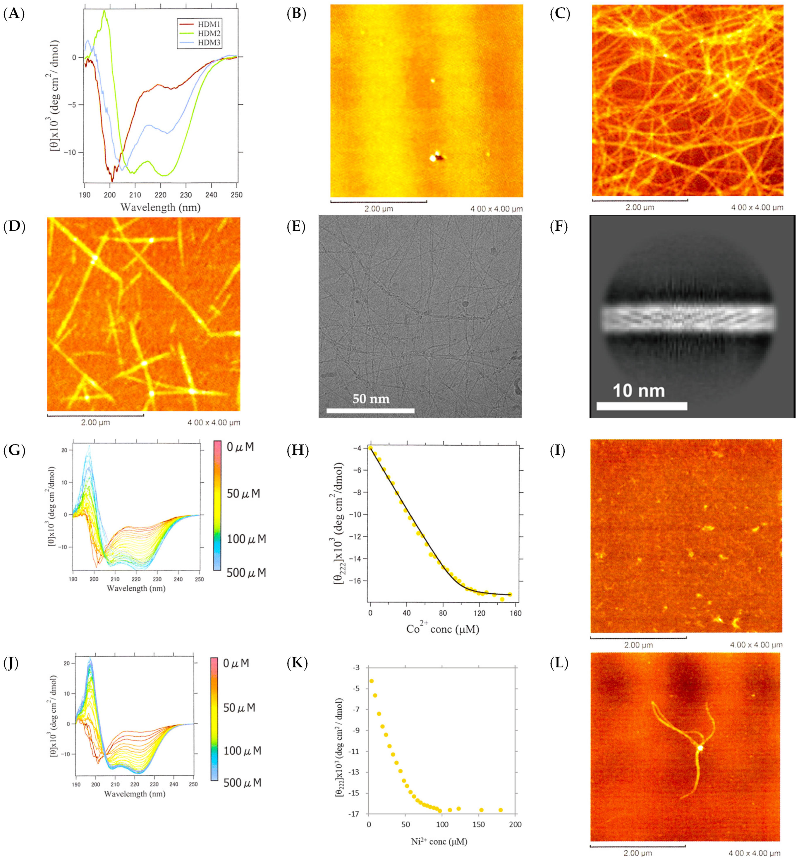 Ijms 25 01111 g009 Ijms 25 01111 g009
