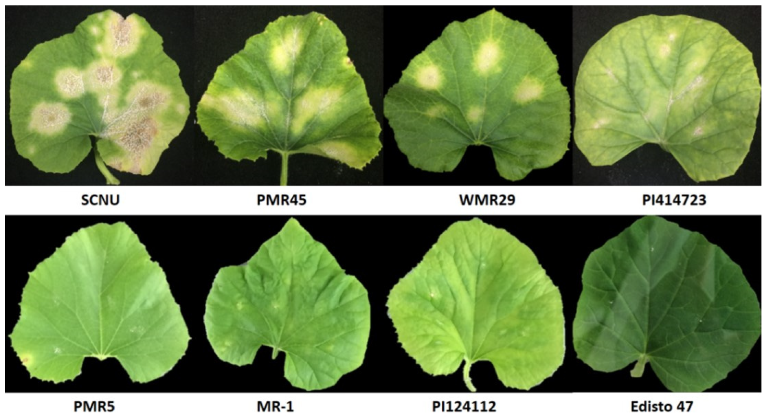 Ijms 25 01134 g001