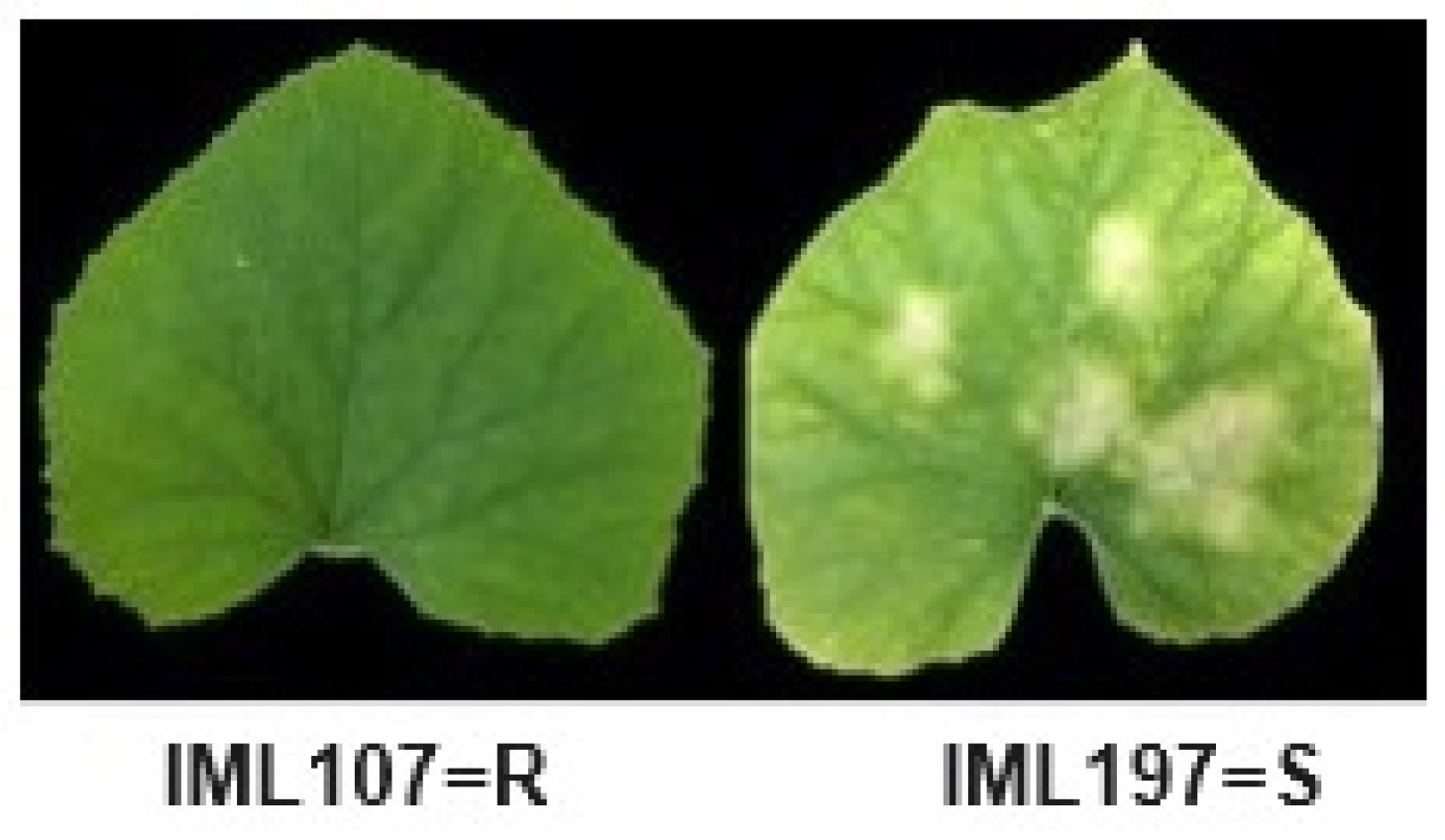 Ijms 25 01134 g002