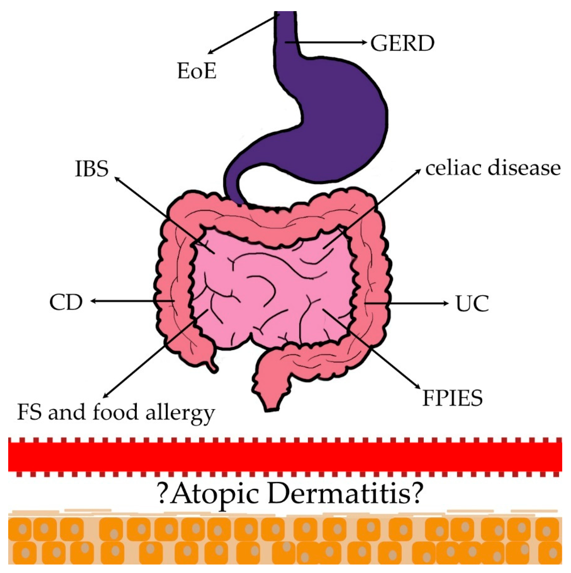 Ijms 25 01194 g001 Ijms 25 01194 g001