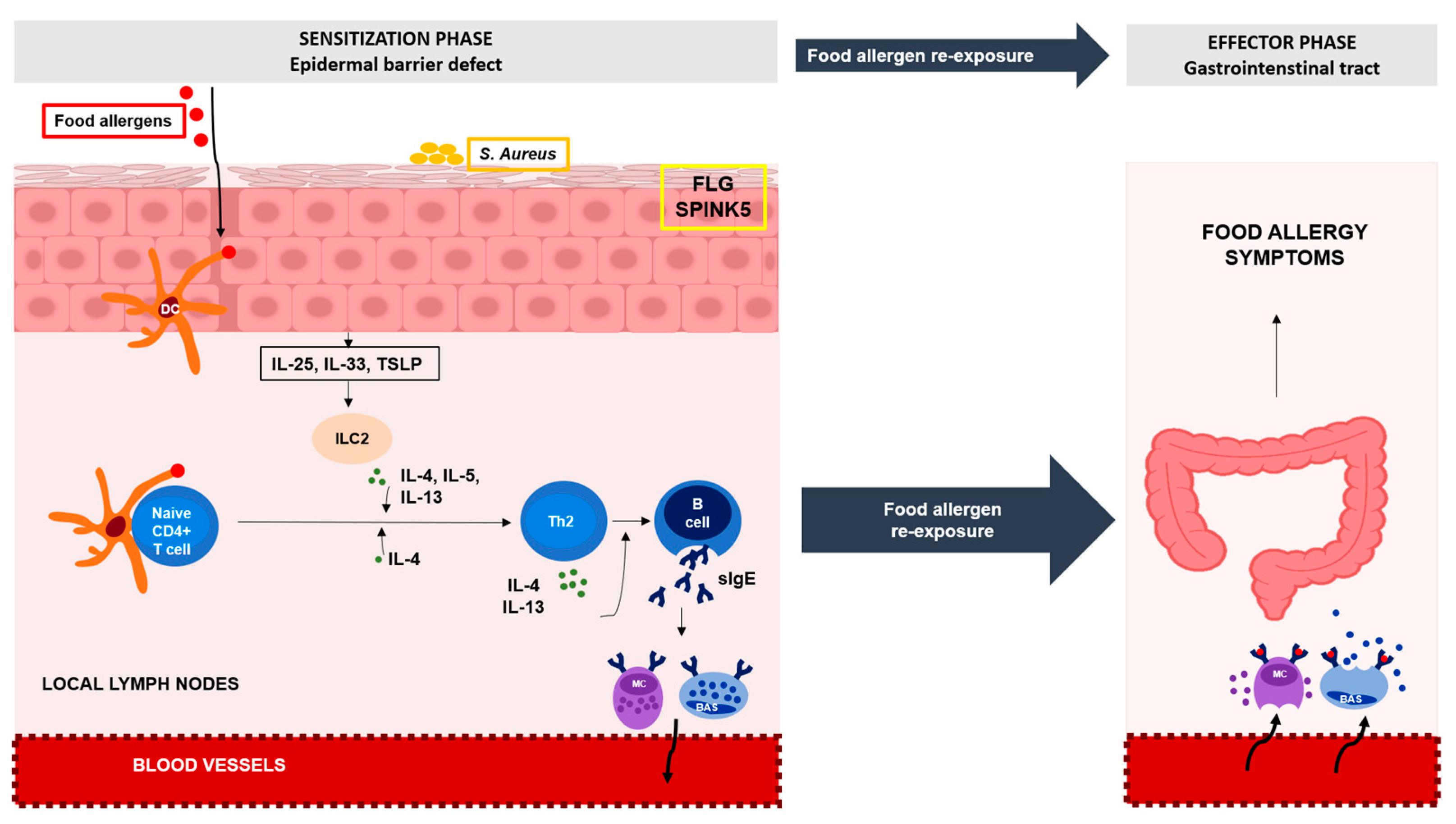Ijms 25 01194 g002 Ijms 25 01194 g002