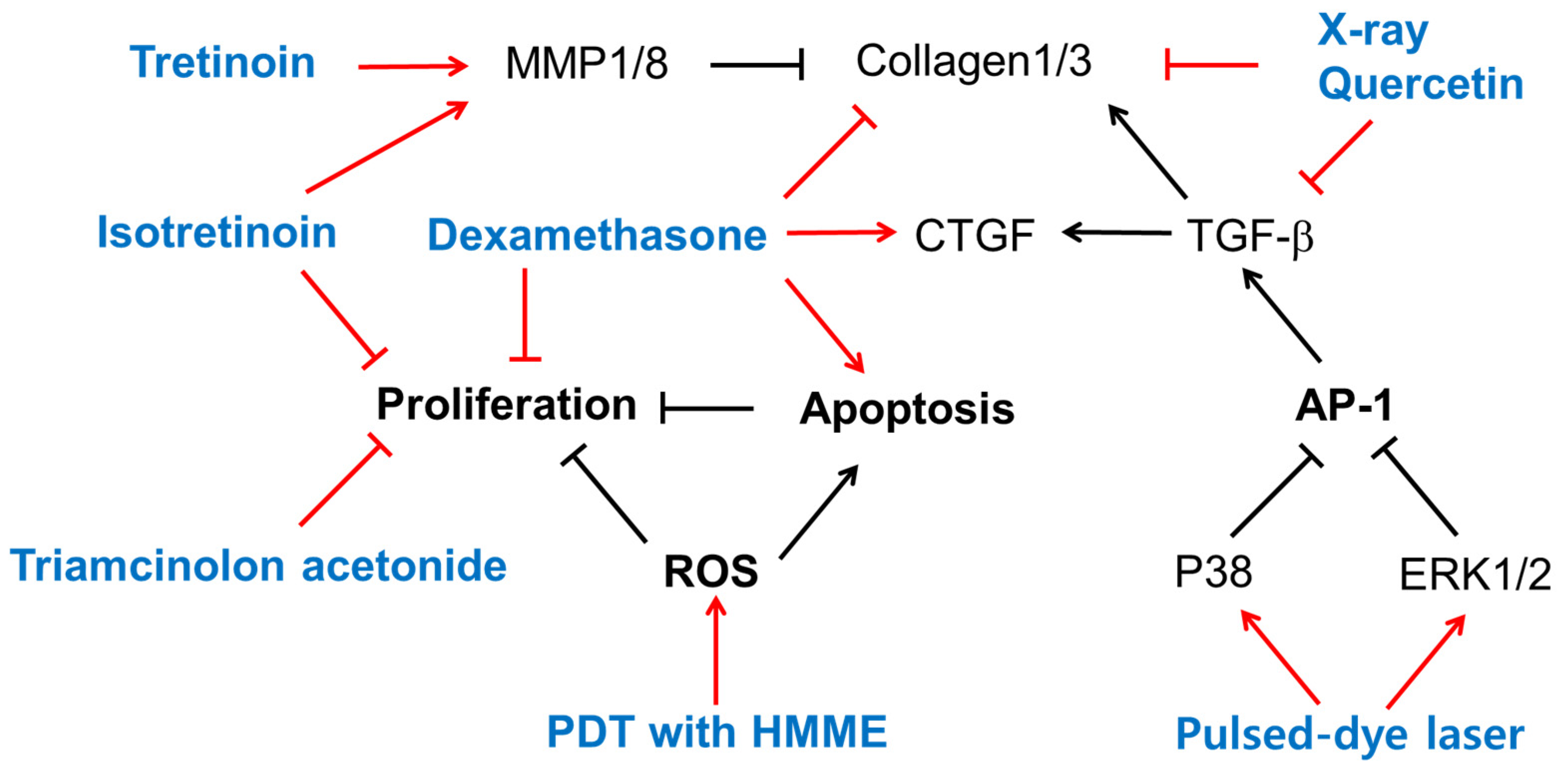Ijms 25 01235 g001 Ijms 25 01235 g001