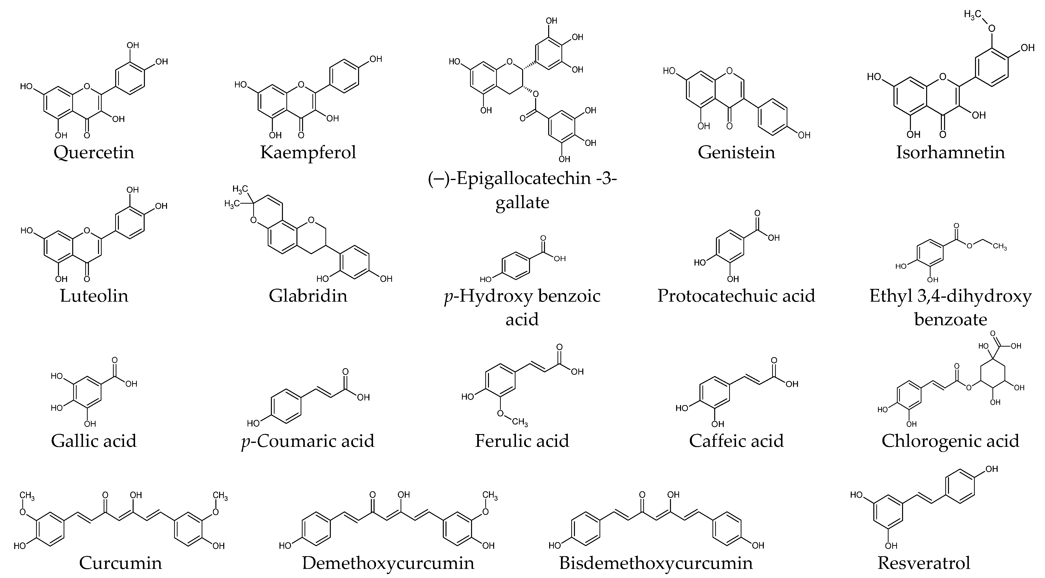 Ijms 25 01235 g002a Ijms 25 01235 g002a