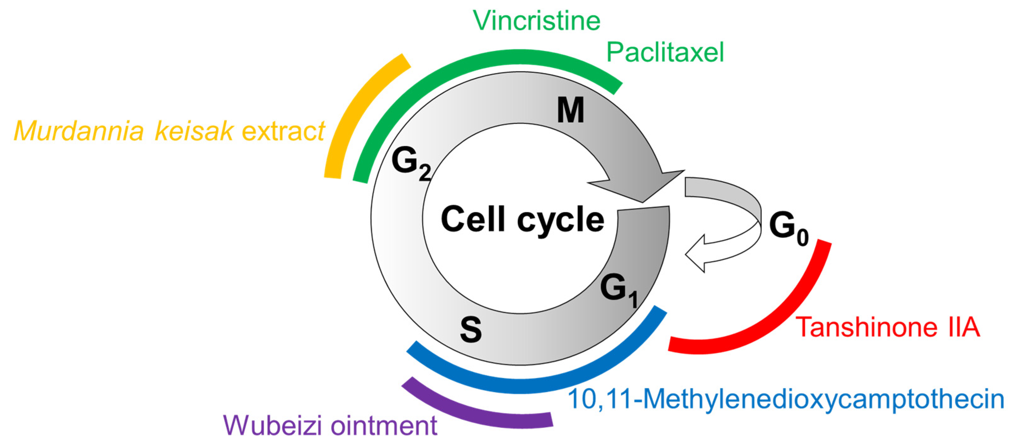 Ijms 25 01235 g003 Ijms 25 01235 g003