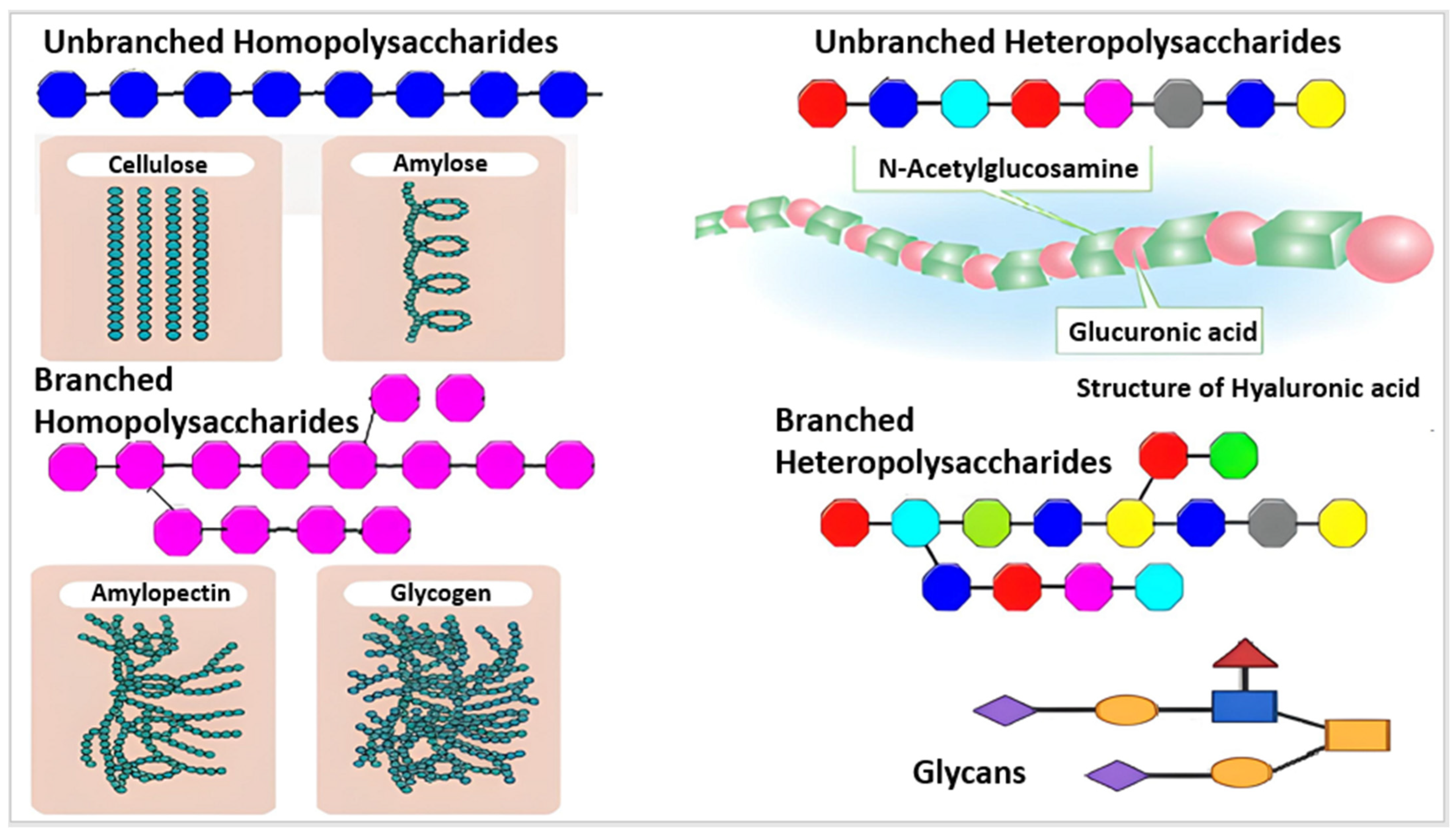 Ijms 25 01322 g002 Ijms 25 01322 g002