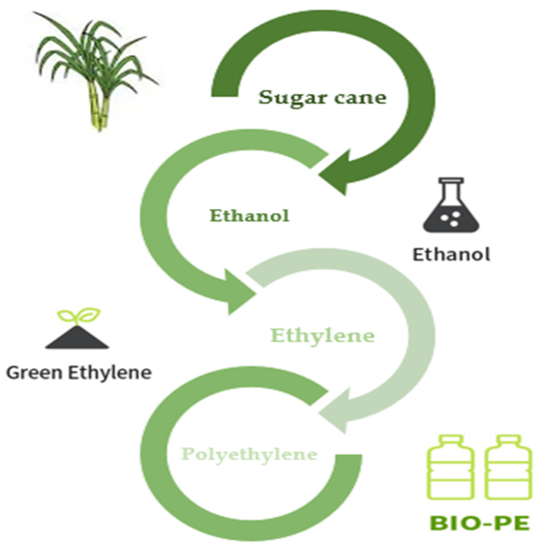 Ijms 25 01322 g009 Ijms 25 01322 g009