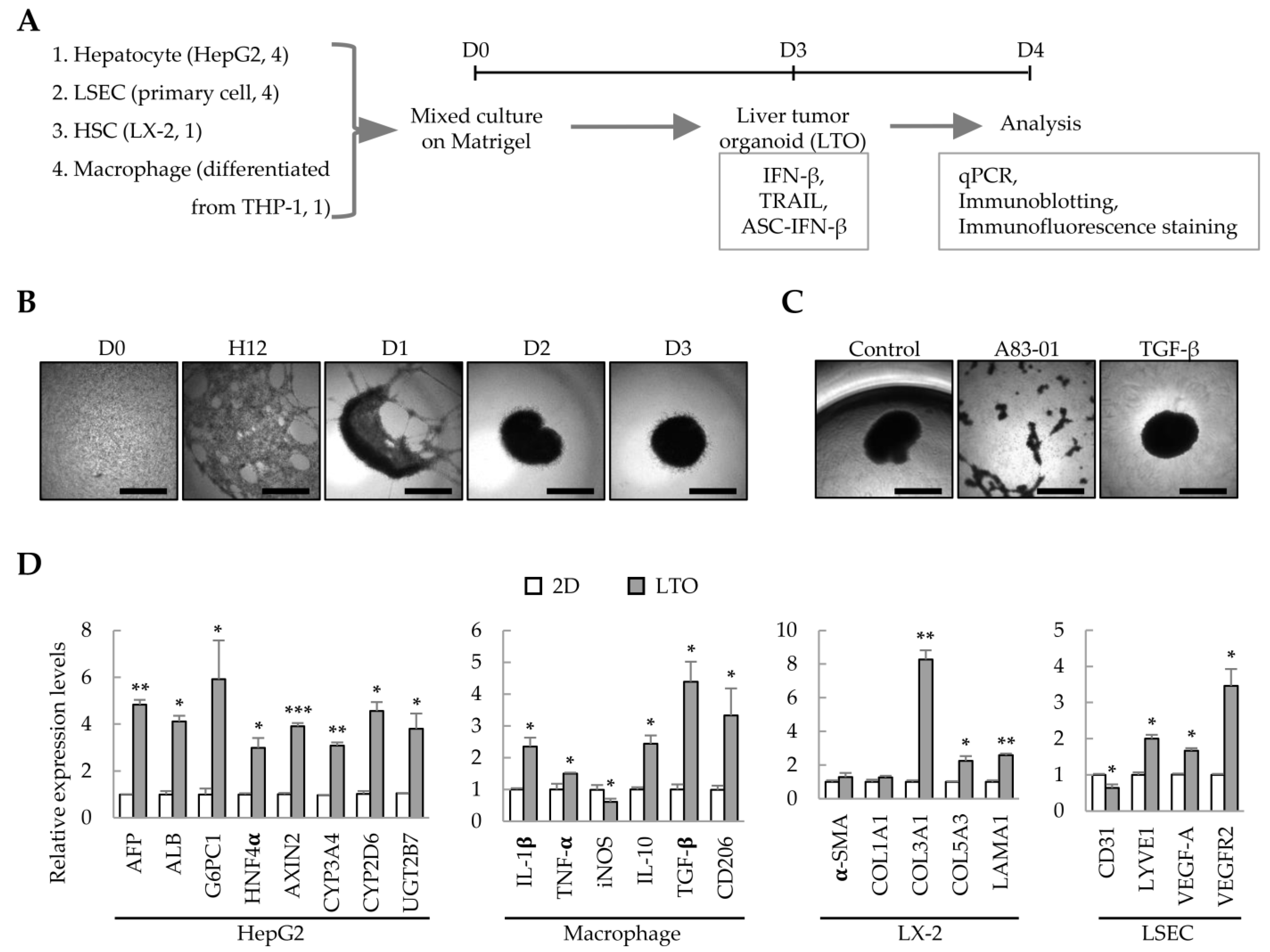 Ijms 25 01325 g001 Ijms 25 01325 g001