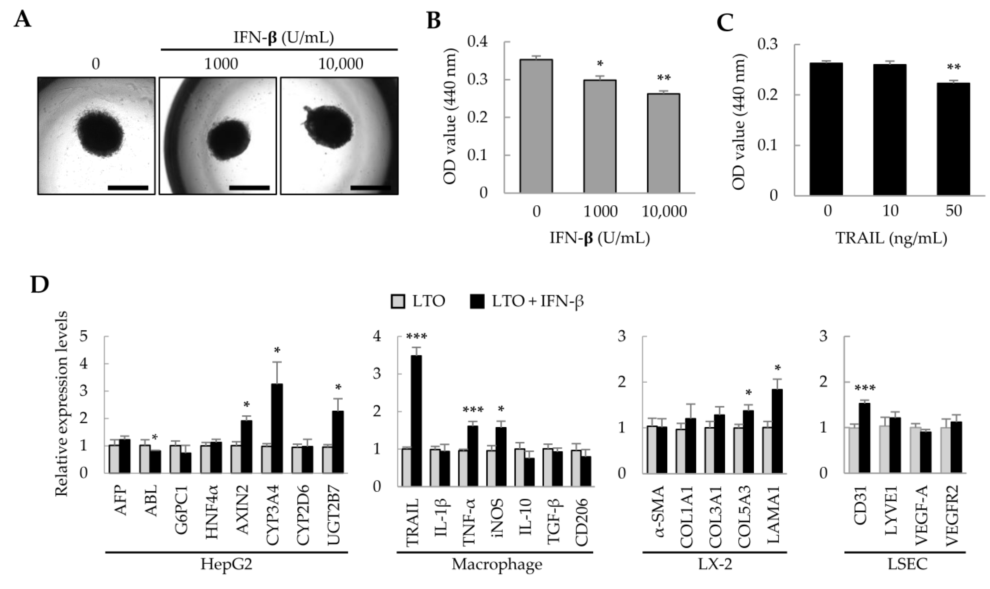 Ijms 25 01325 g002 Ijms 25 01325 g002