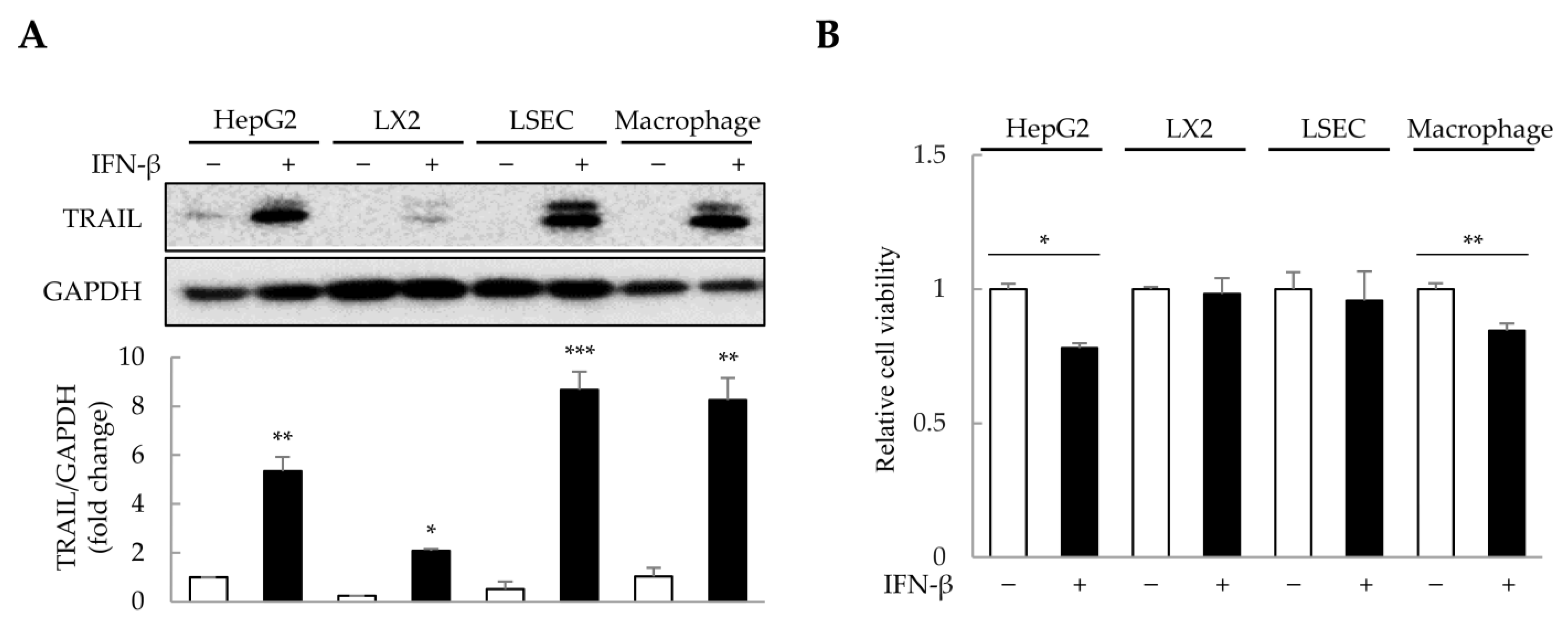 Ijms 25 01325 g003 Ijms 25 01325 g003