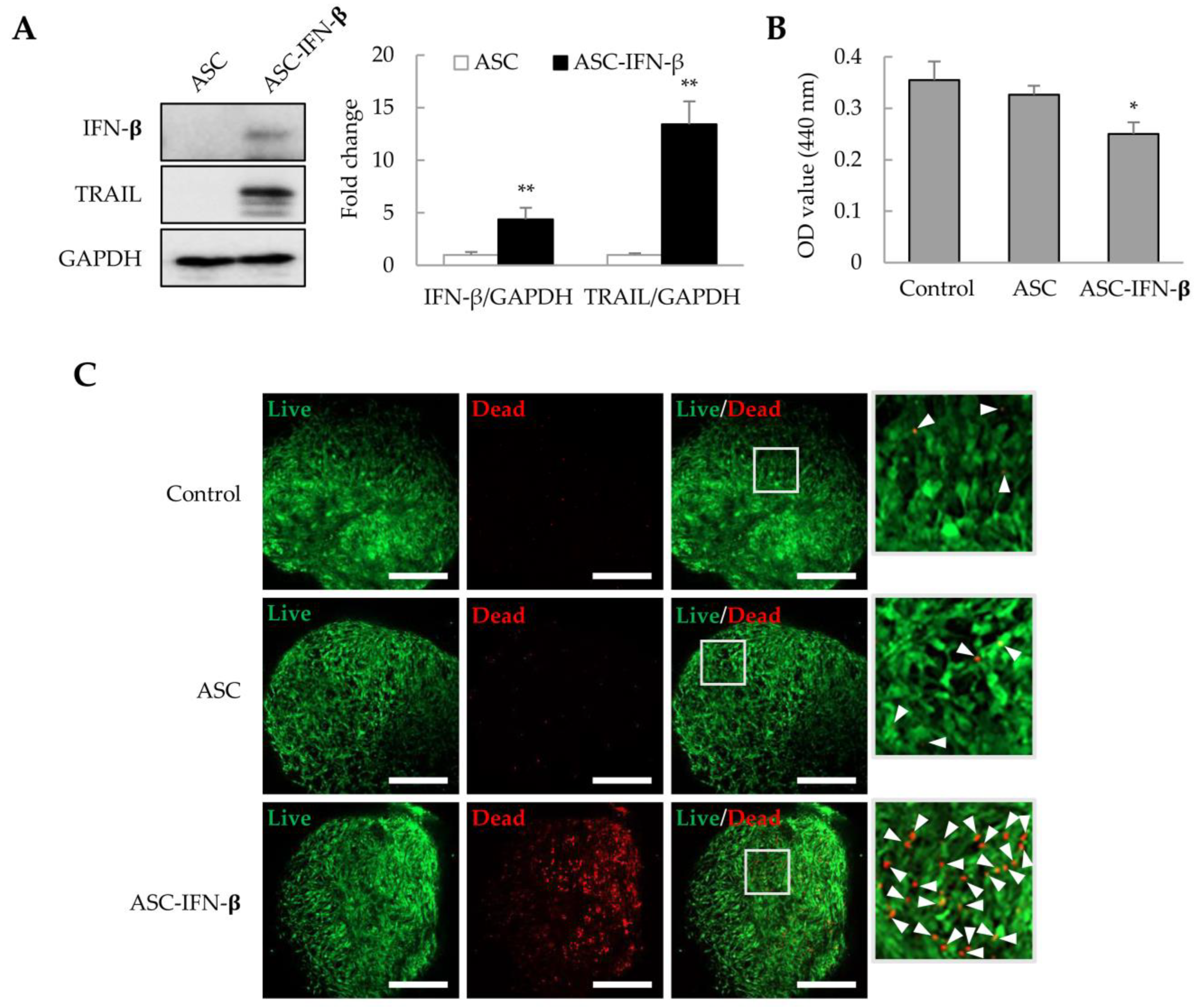 Ijms 25 01325 g006 Ijms 25 01325 g006