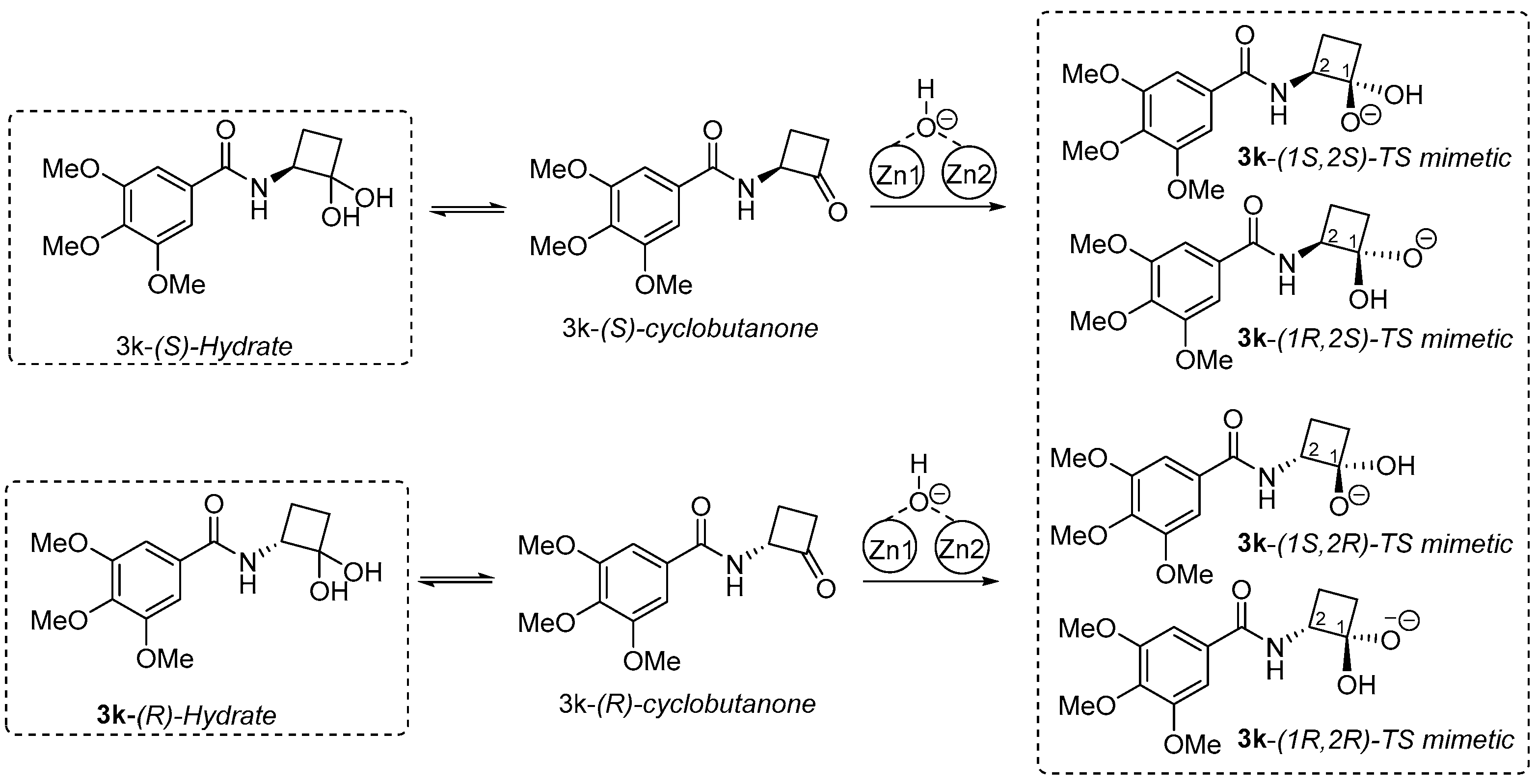 Ijms 25 01339 sch003